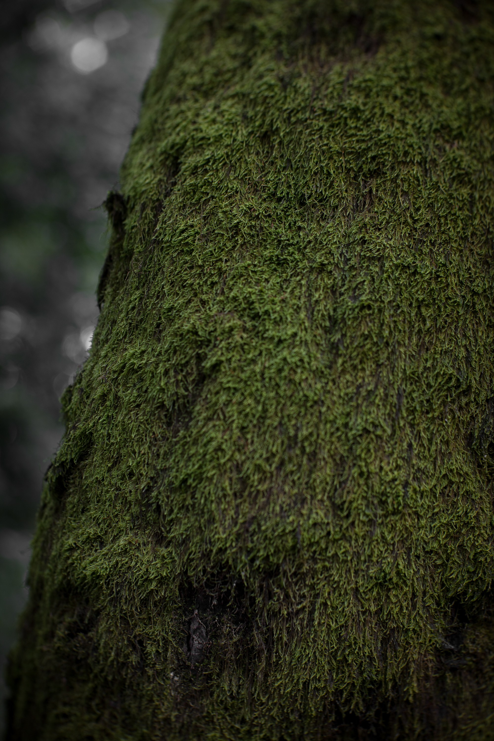 Ландшафтная фотография. Туманов Виталий — фотограф Москва
