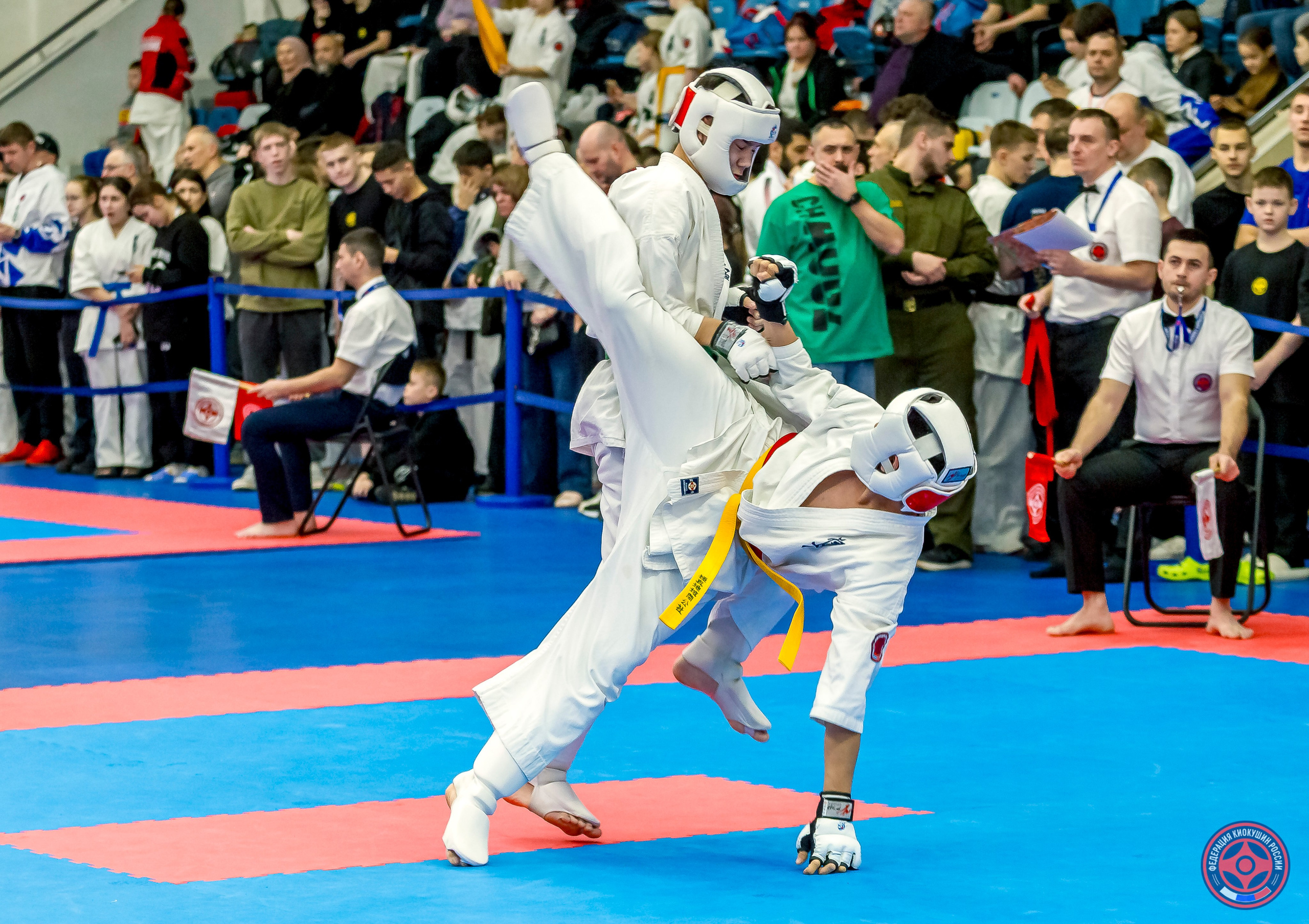 Международный турнир по киокушин «Открытый кубок Seiken». Репортажная съемка в Москве и области. Анималистика