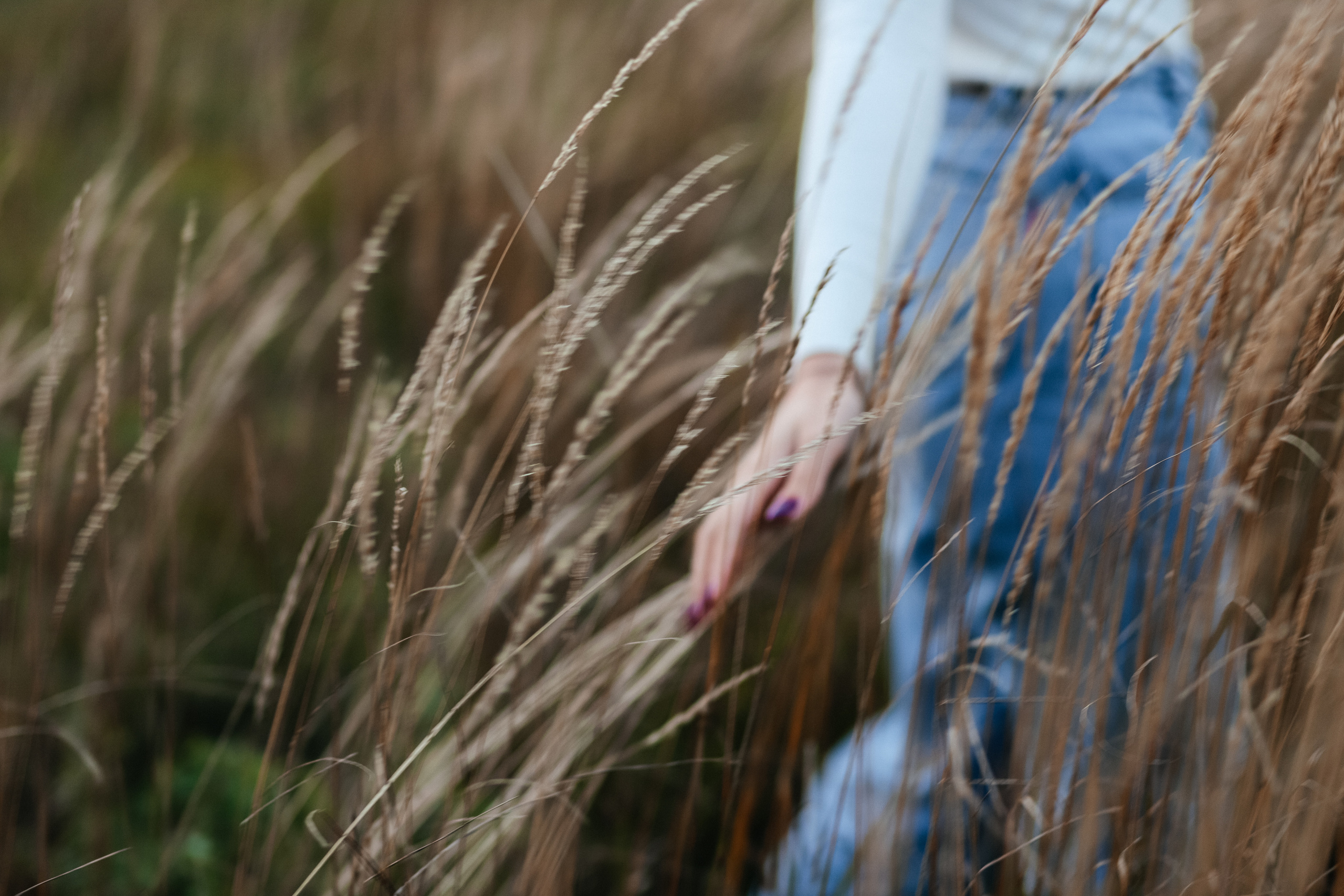 Последний день лета. Фотограф Регина Даниловна Усть — Катав