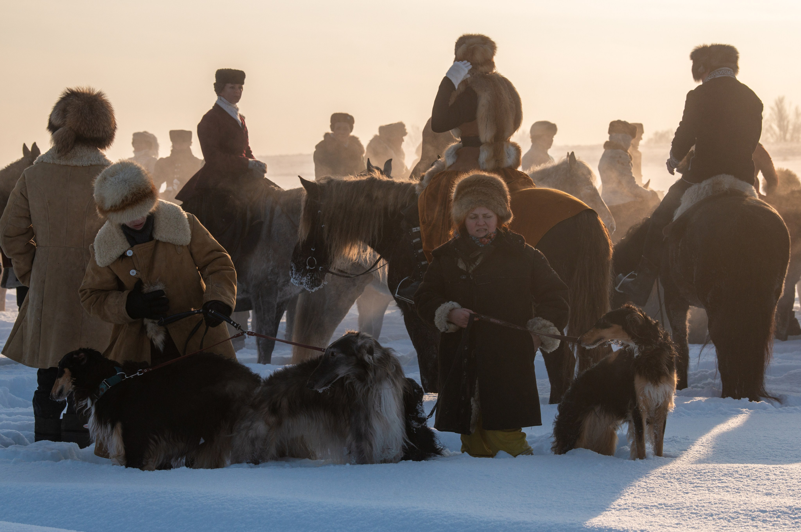 Псовая охота Аванпост. Конный фотограф в Саратове Юлия Иванова