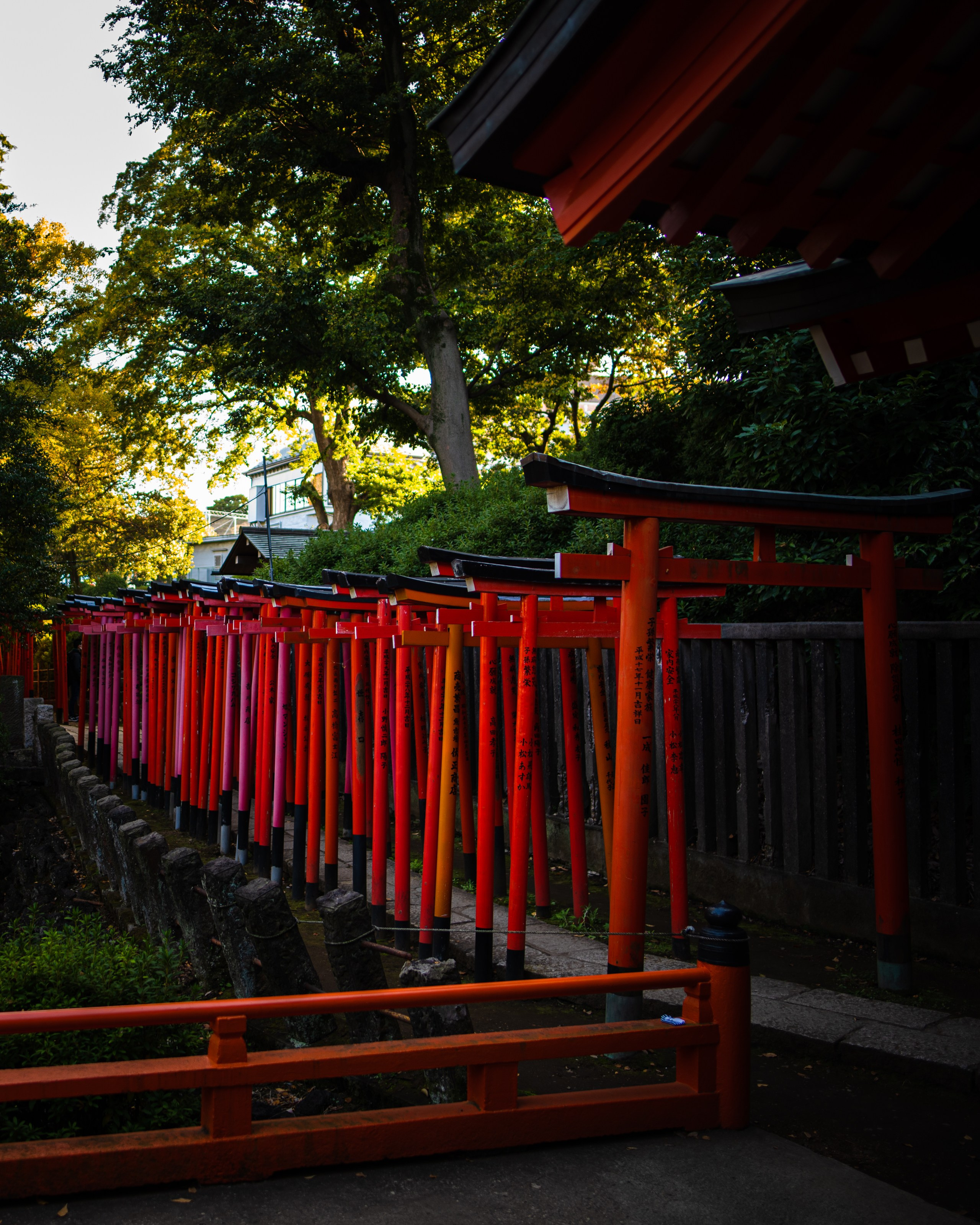 Japan. Photographer in Tokyo Anatolii Ozarto