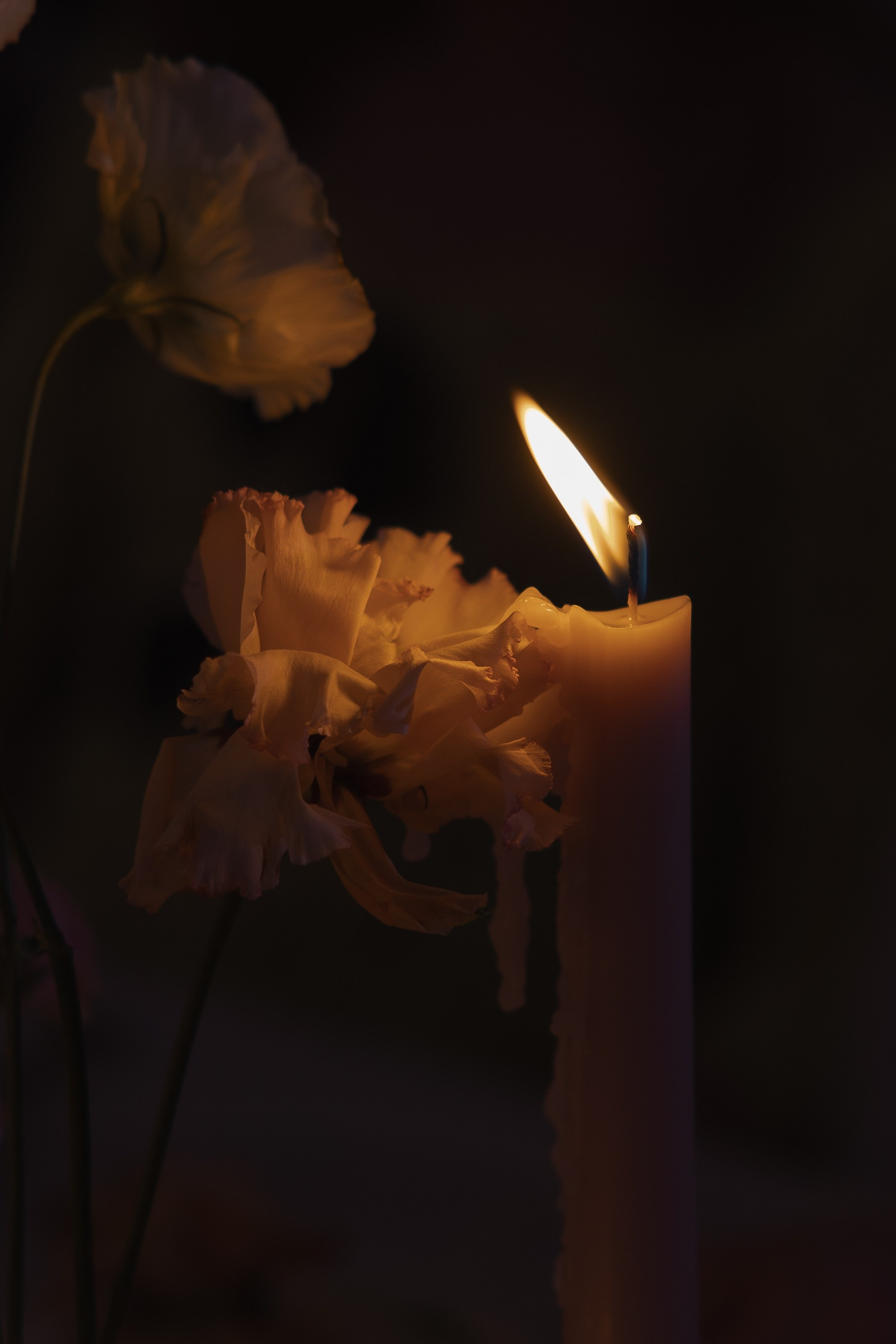 Яна & Константин. Фотограф Serj Ganso