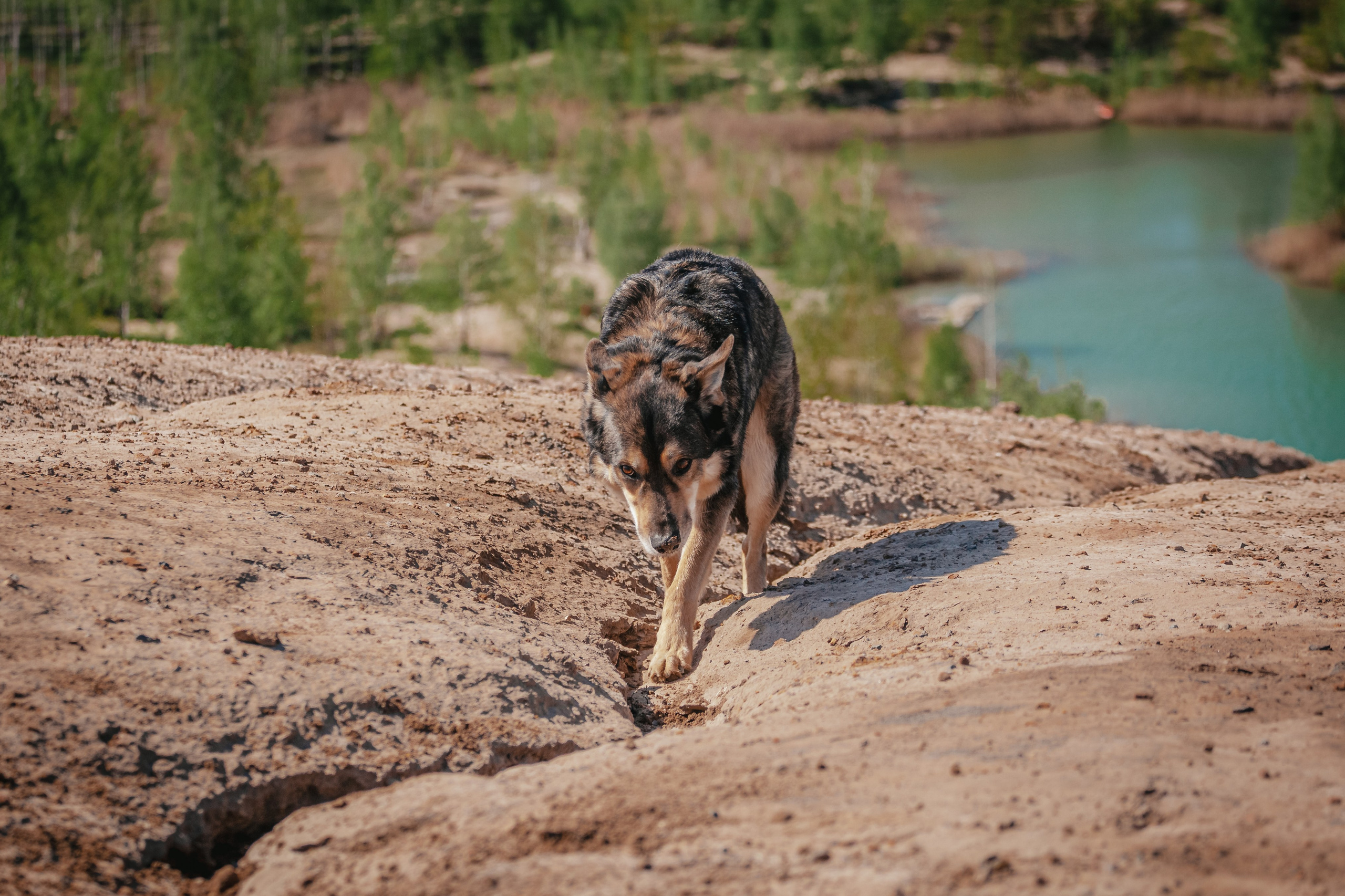 Кондуки. Фотограф-анималист Татьяна Степанова