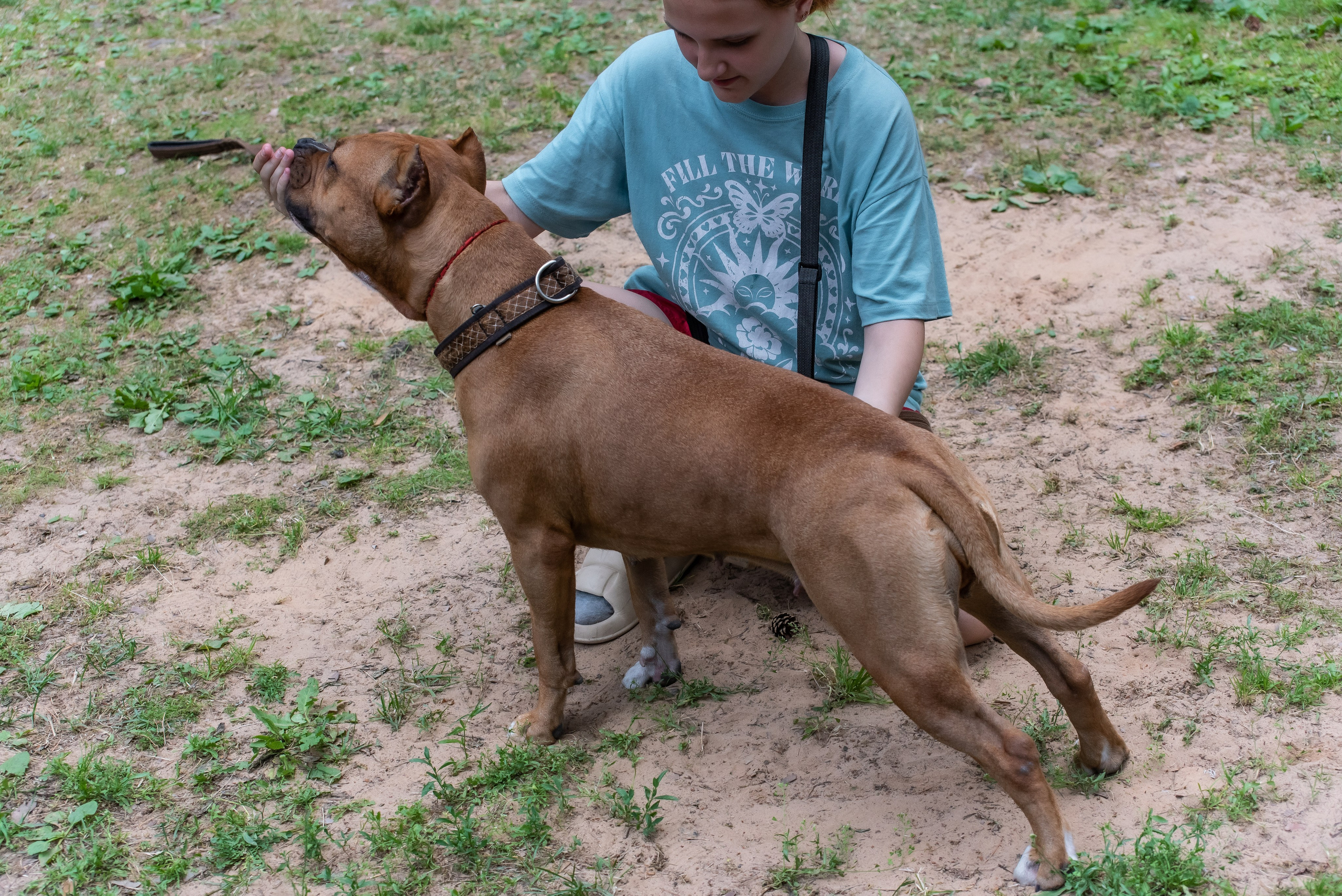 Хвостатые каникулы Детский кинологический лагерь. Фотограф Макс Огурцов в Нижнем Новгороде