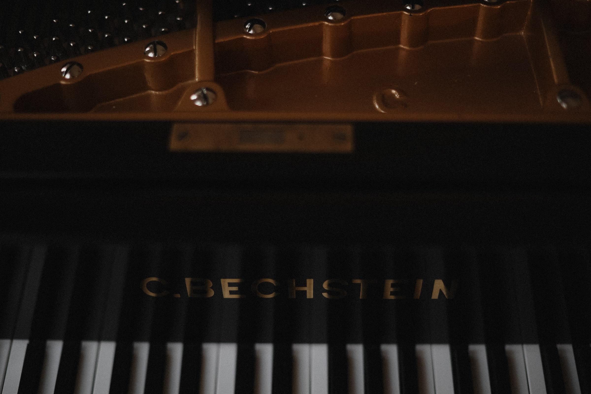 О Т Ц Ы. Свадебный и семейный фотограф Москва, Спб, Крым Игорь Сазонов