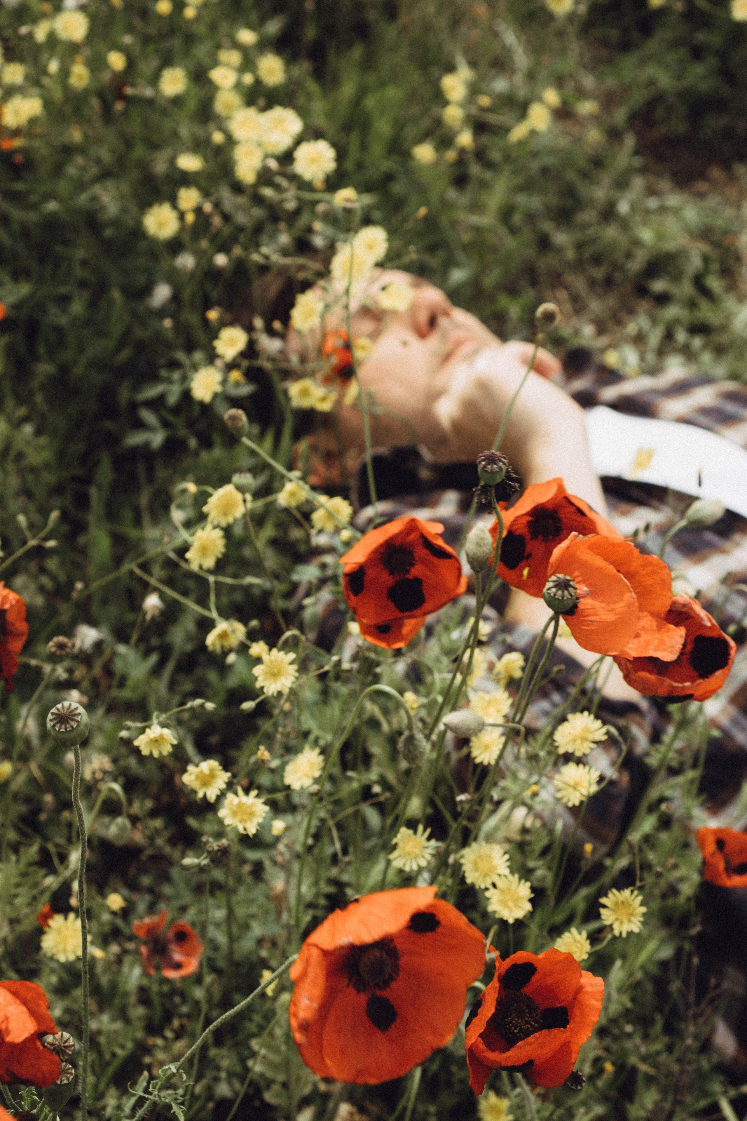 Маки. Профессиональный фотограф, Санкт-Петербург — Виктория Богомолова