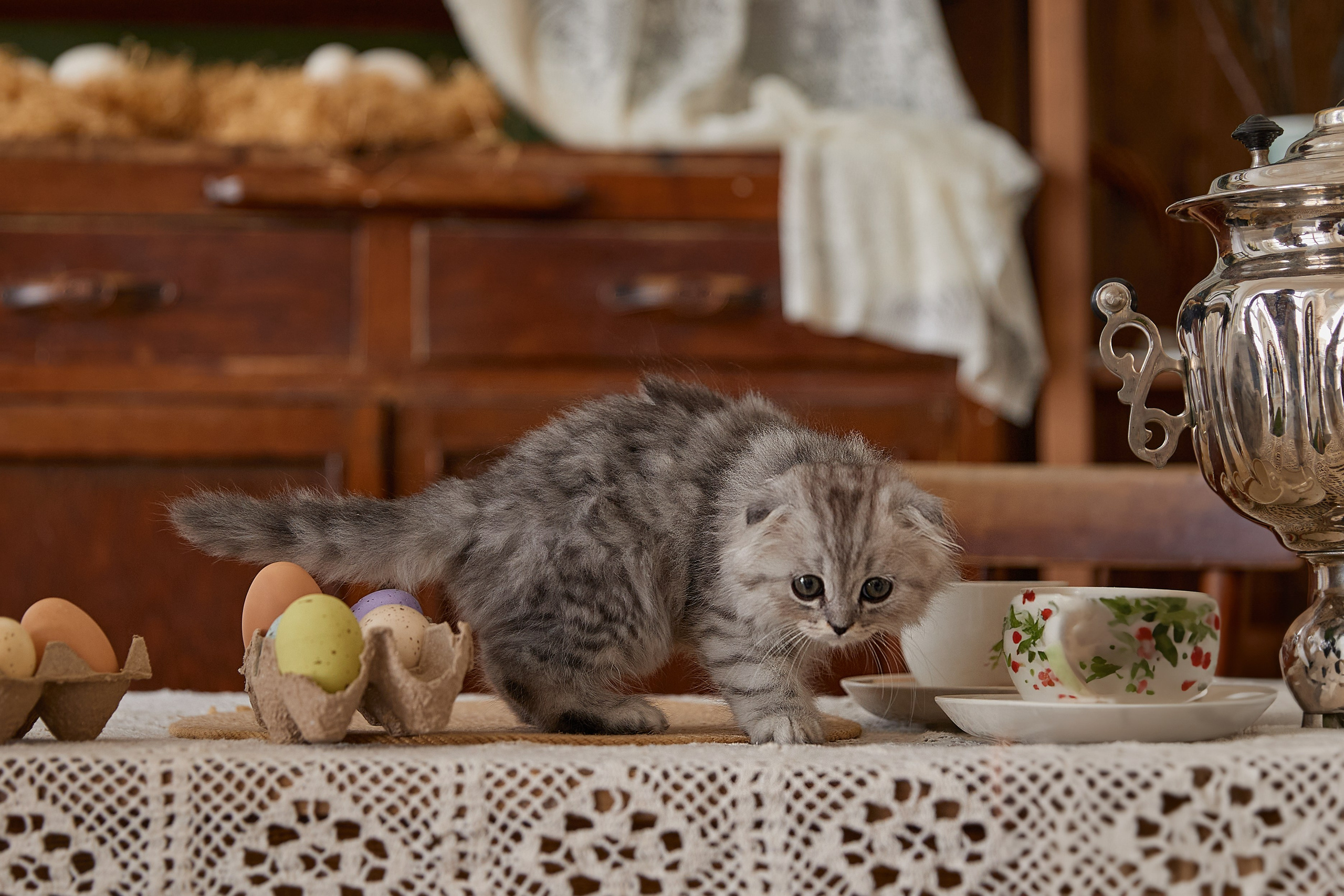 Вероника. Фотограф женского портрета, беременности и материнства Харькова Елена