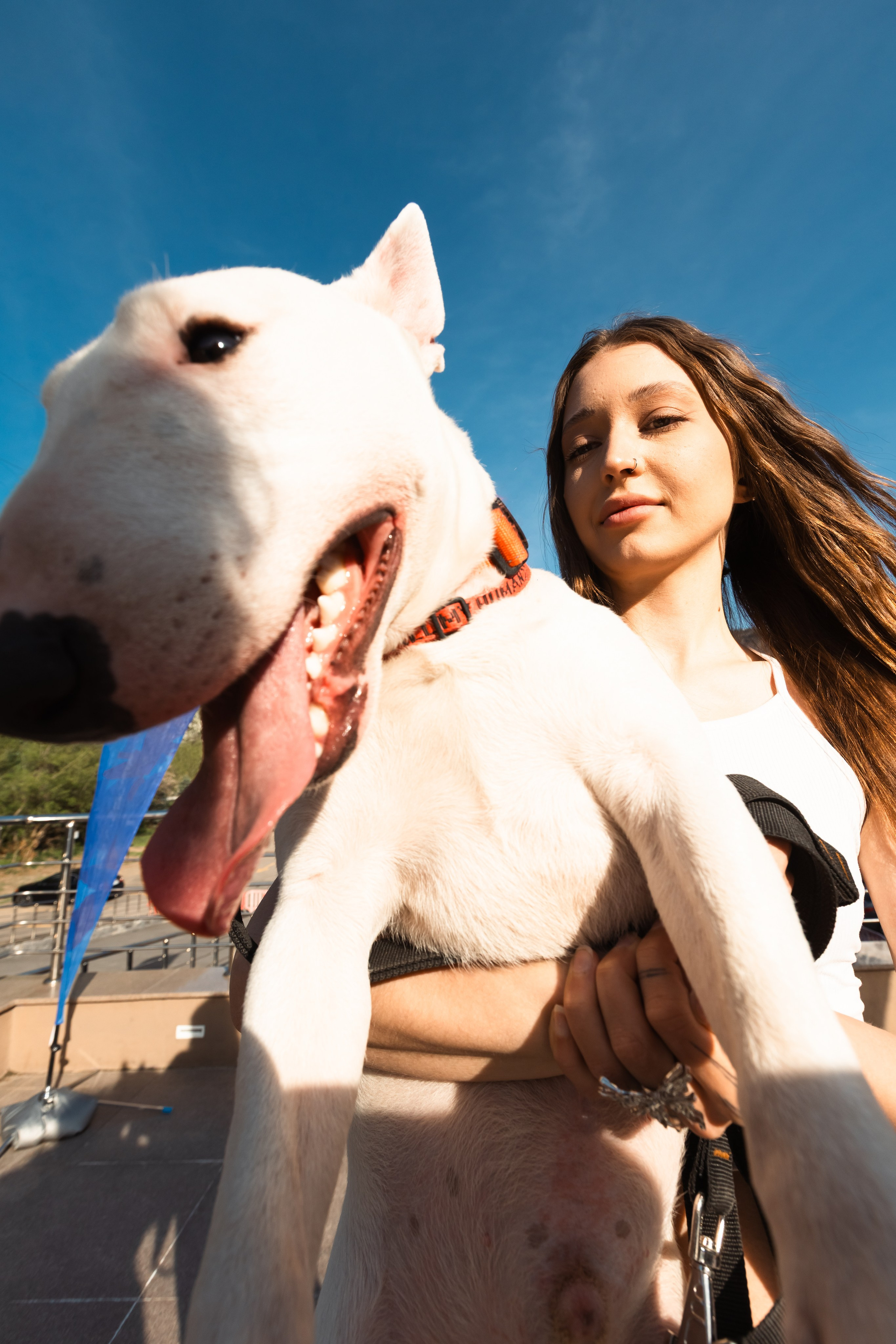 GORILLA GROOVE STAGE IMBA CAMP 5. Gorillaenergymedia