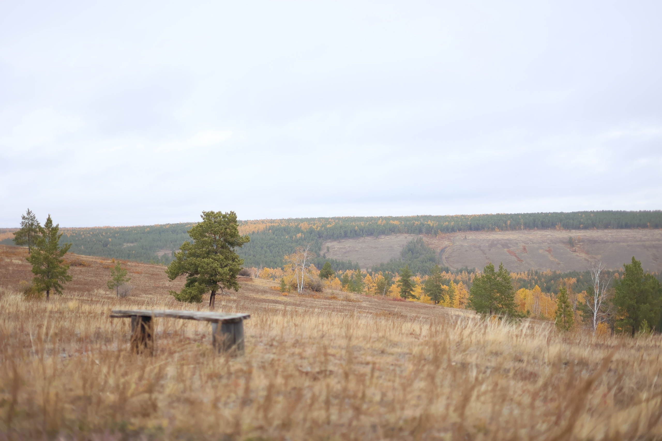Фотограф Саргылана Яковлева в г. Якутске