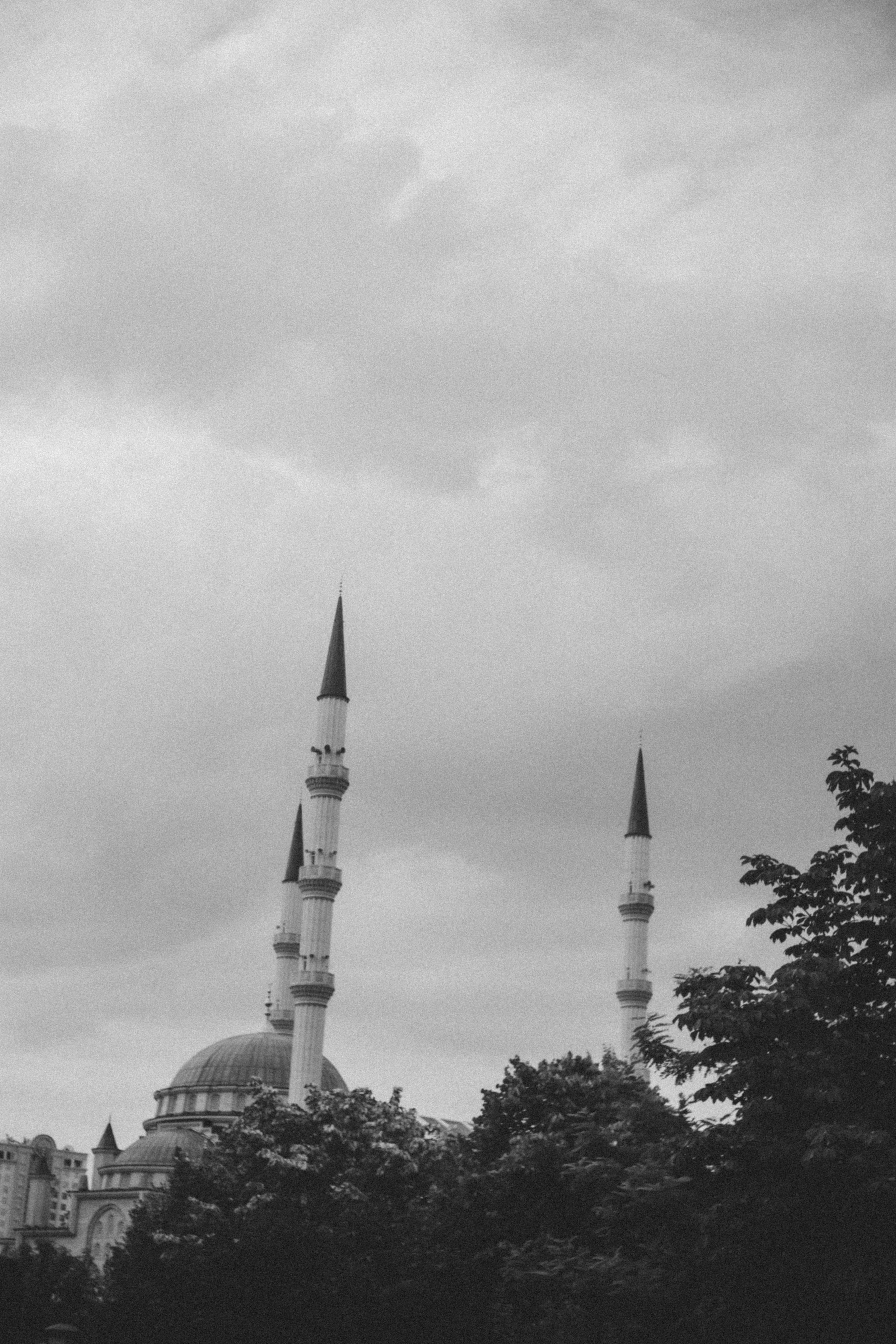 Дагестан. Чечня. 2024. Фотограф в Нижнем Новгороде