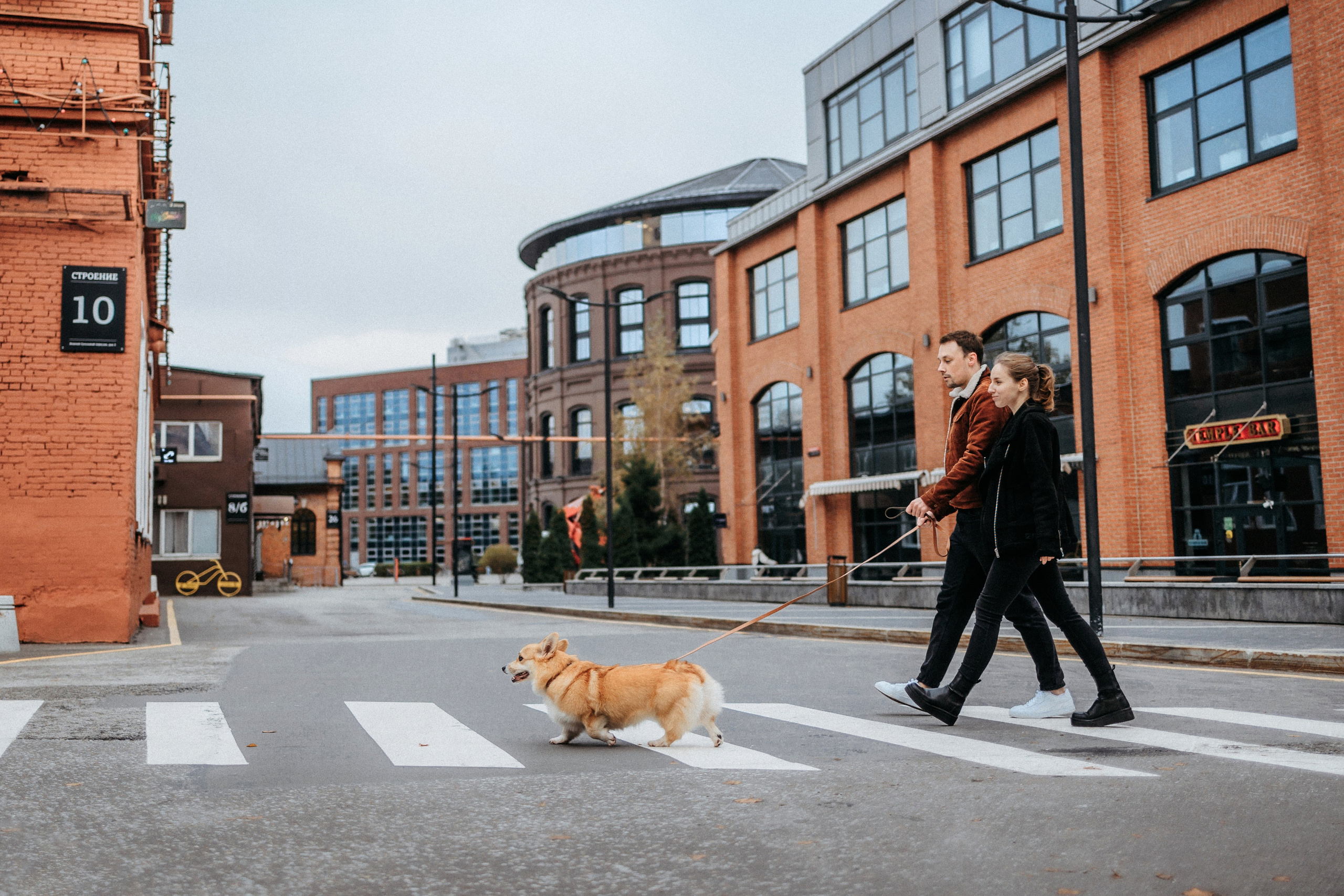 Вера, Саша и Муна. Фотограф-анималист Елена Радченко, Москва