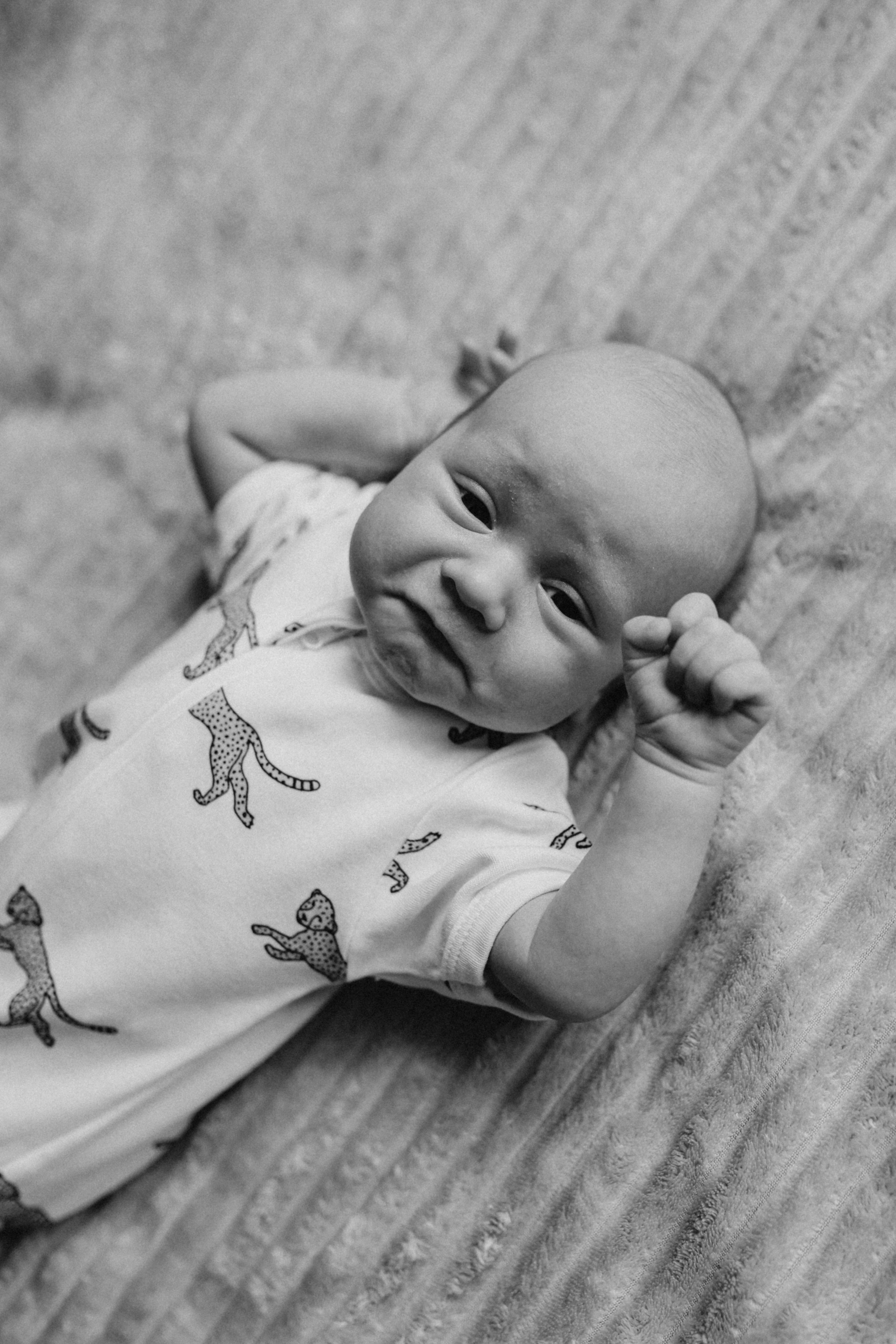 Лев🤎. Фотограф на роды в Санкт-Петербурге, семейный, нью-борн Алиса Хрекова