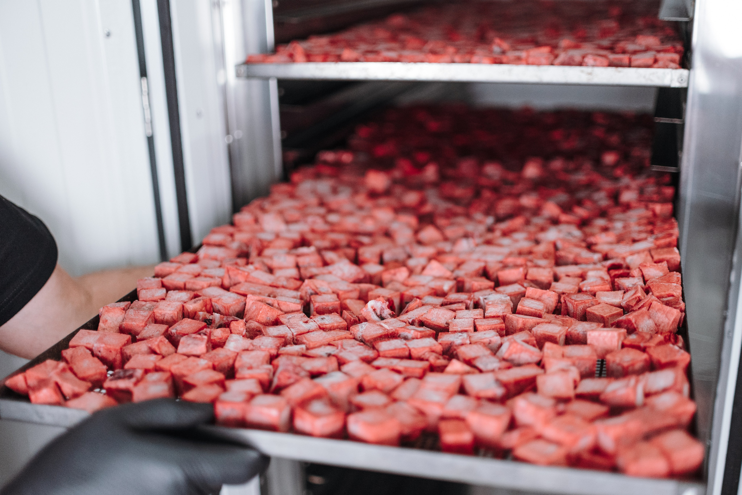 Dog Bone производство. Фотограф-анималист Валерия, Москва, Мытищи