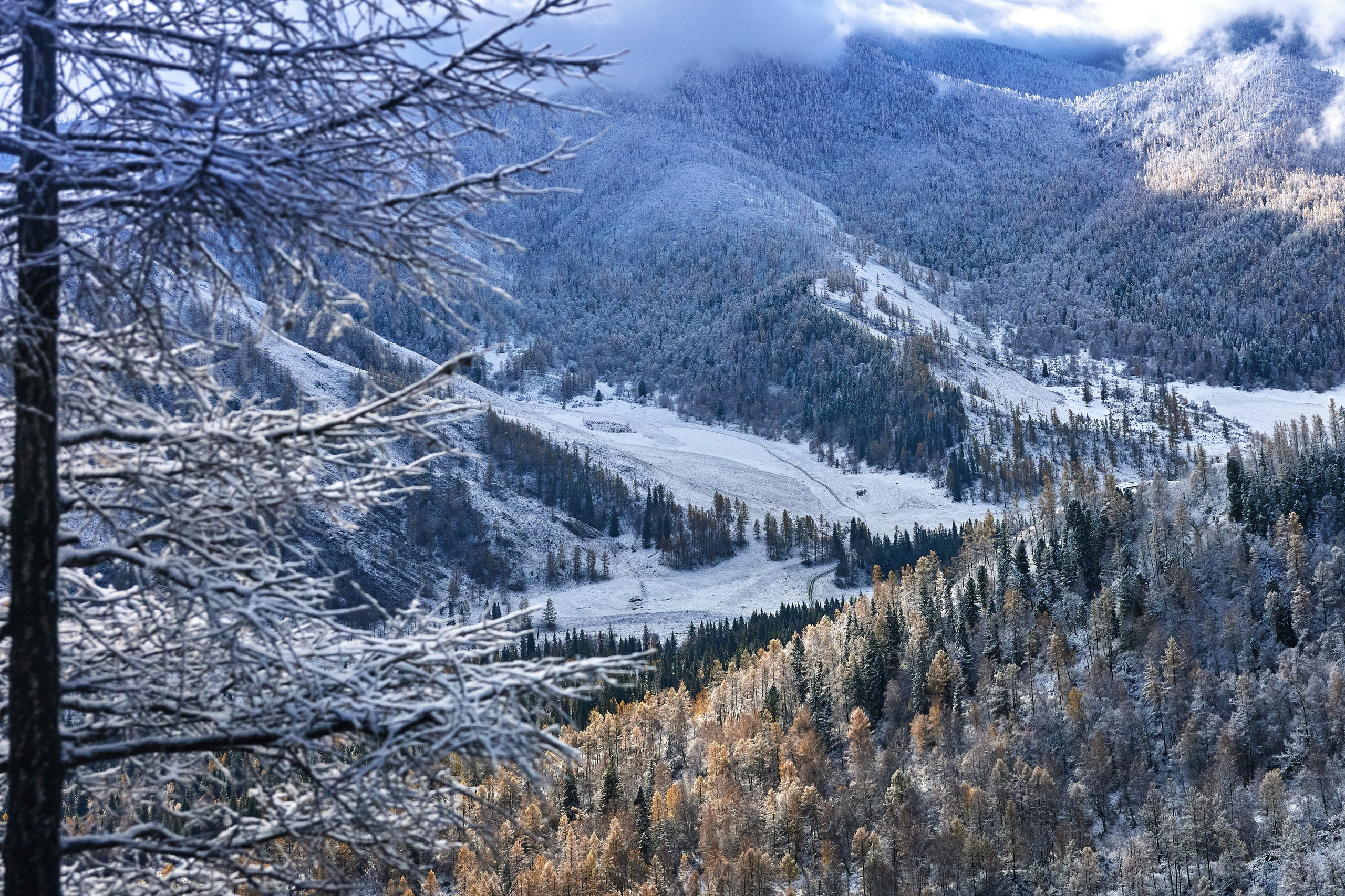 Пейзажный фотограф в Горном Алтае: съёмки природы и гор. Фотограф Опыт Качество Скорость Горный Алтай Барнаул
