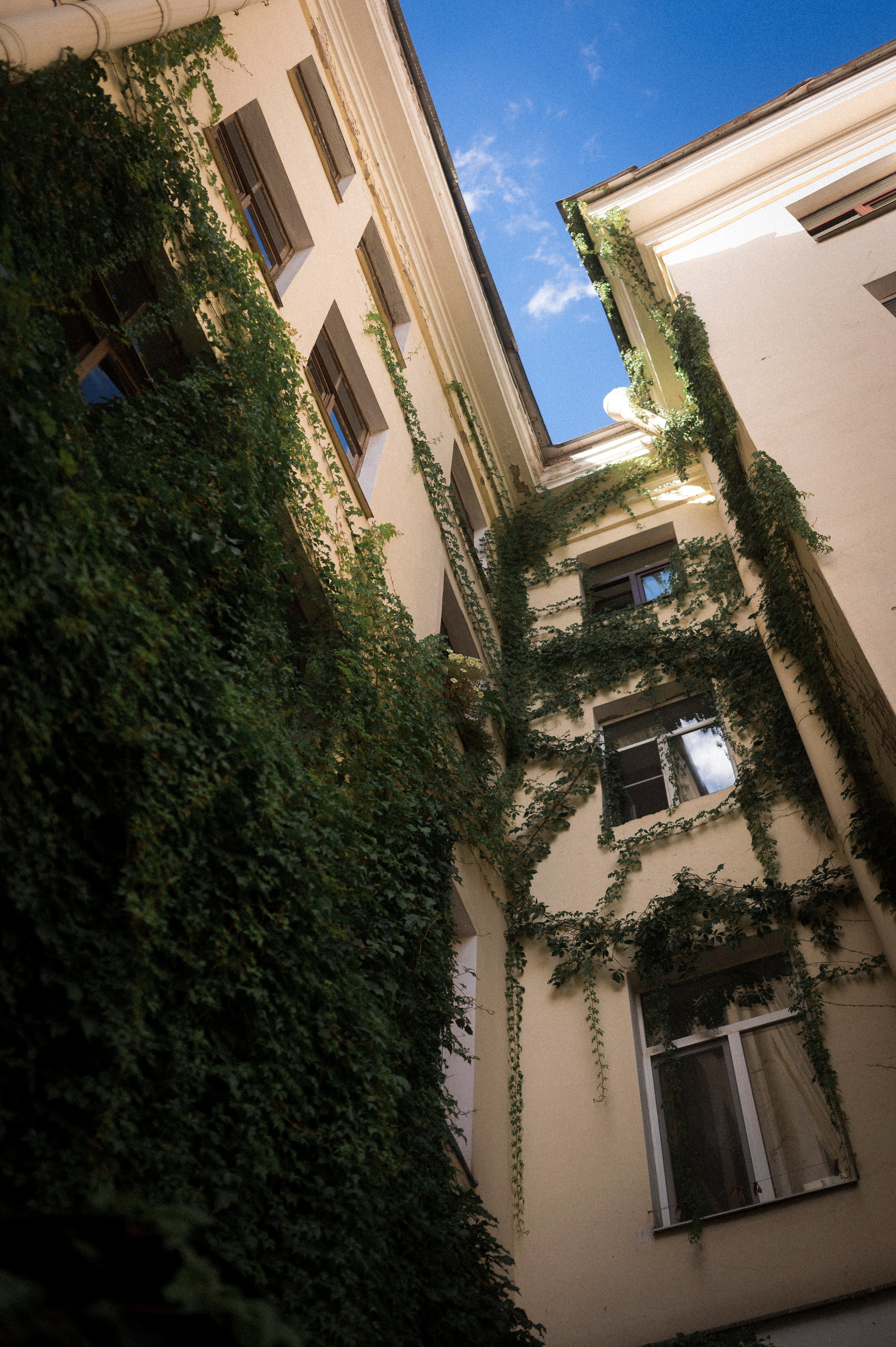 North 2024. Kartascheff