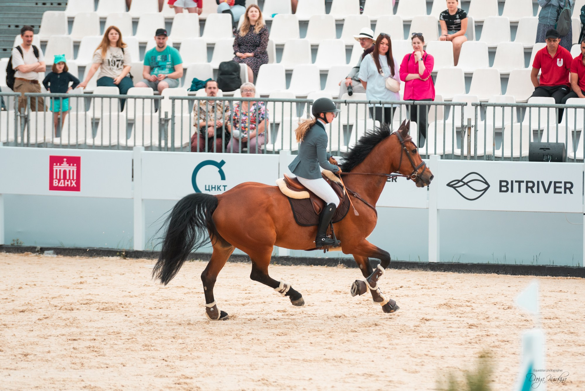 BITRIVER CUP 2023. Конный фотограф Куракина Дарья • Фотосессии с лошадьми