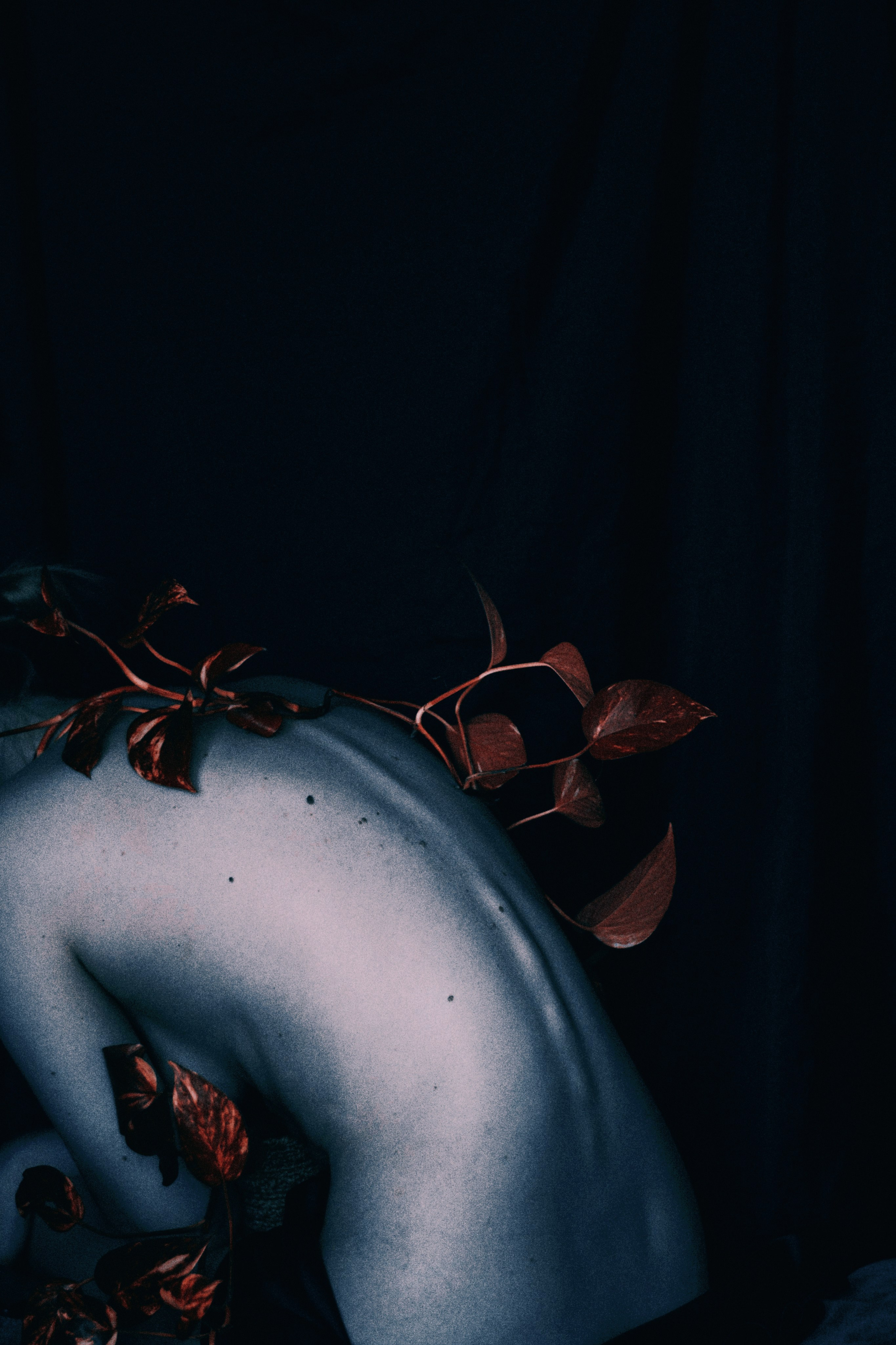 Концептуальная съемка: сочетание органических форм и портрета