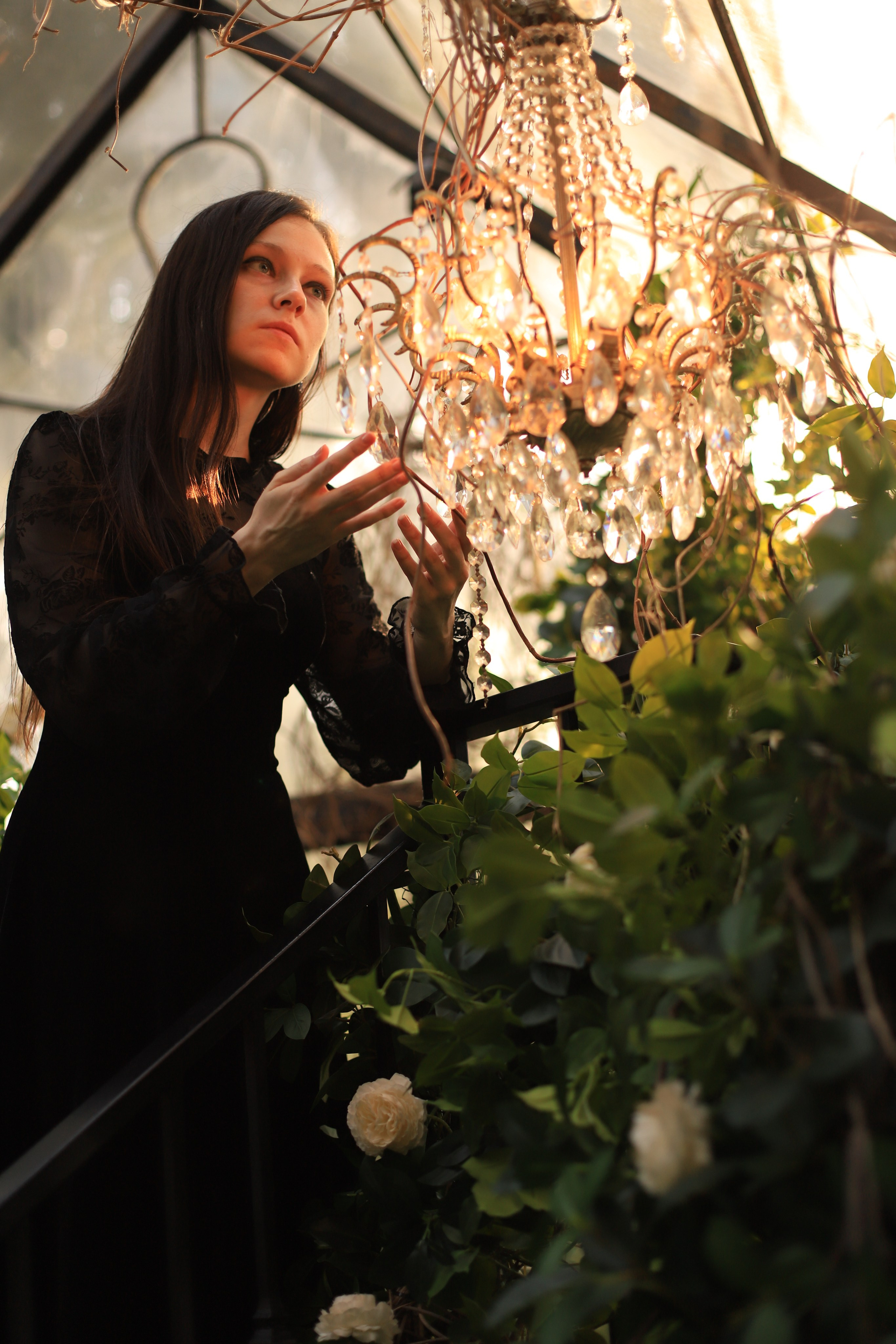 Оранжерея. Фотограф в Москве Елена Дроботя