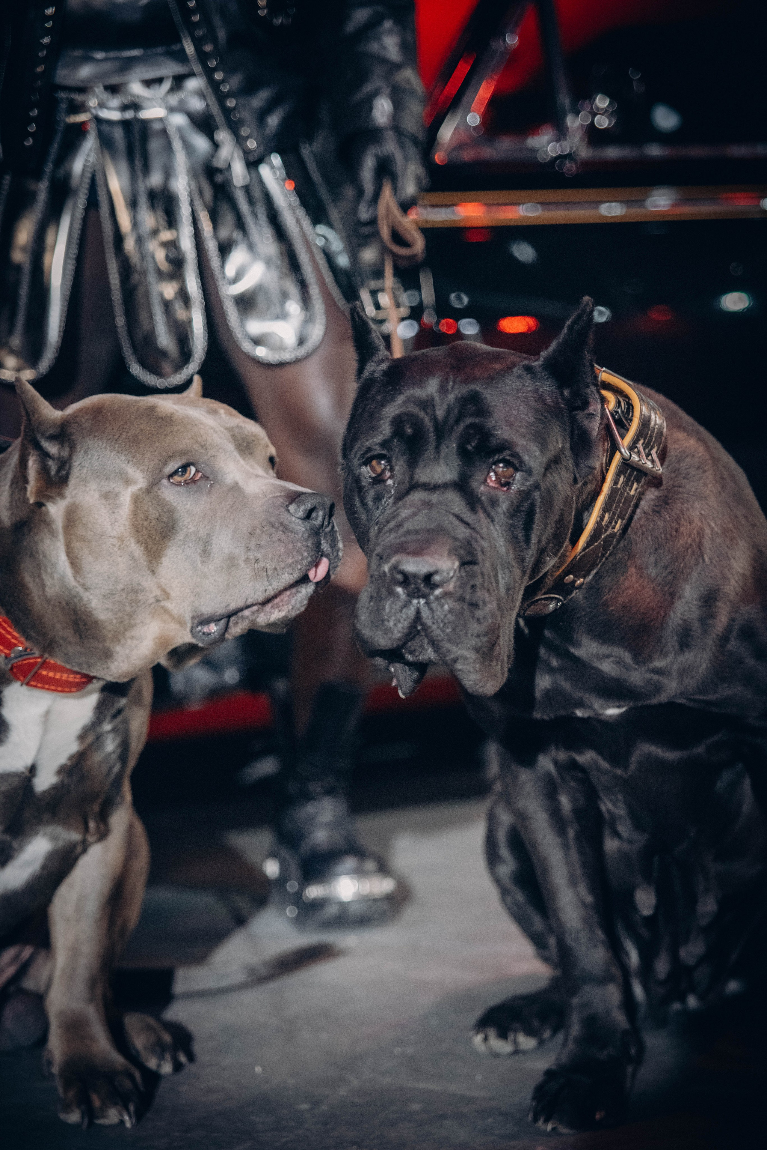 Fashion. Леся Власова. Семейный Lifestyle фотограф в Москве