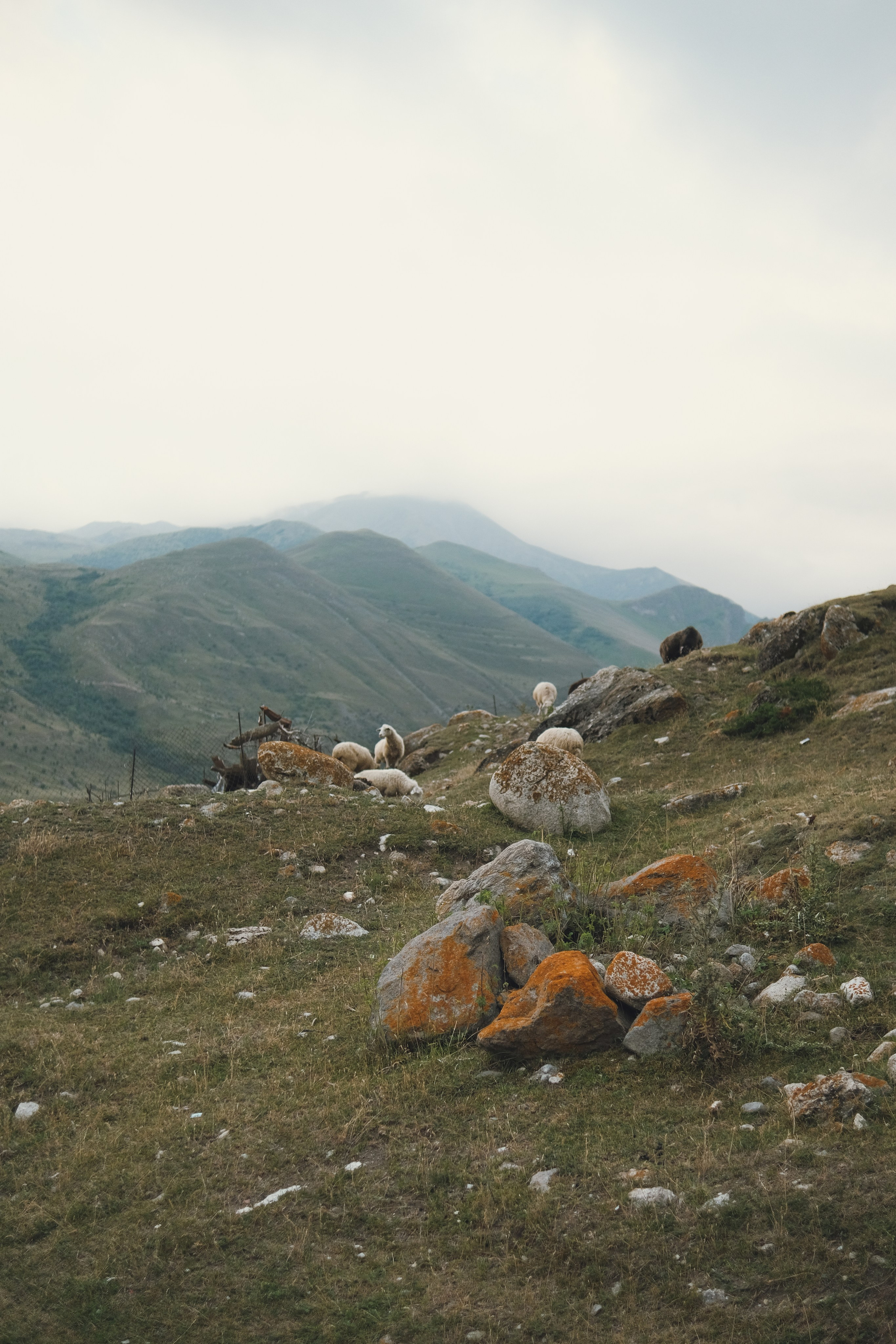 Чегем 28–31 мая. Bytheway