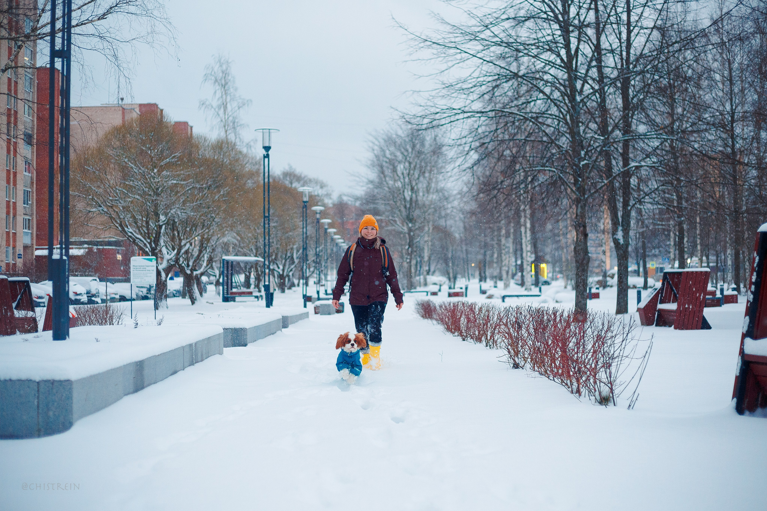 Внезапно апрельская зима. Фотограф-анималист Наталия Чистюхина в г. Сосновый Бор и ЛО