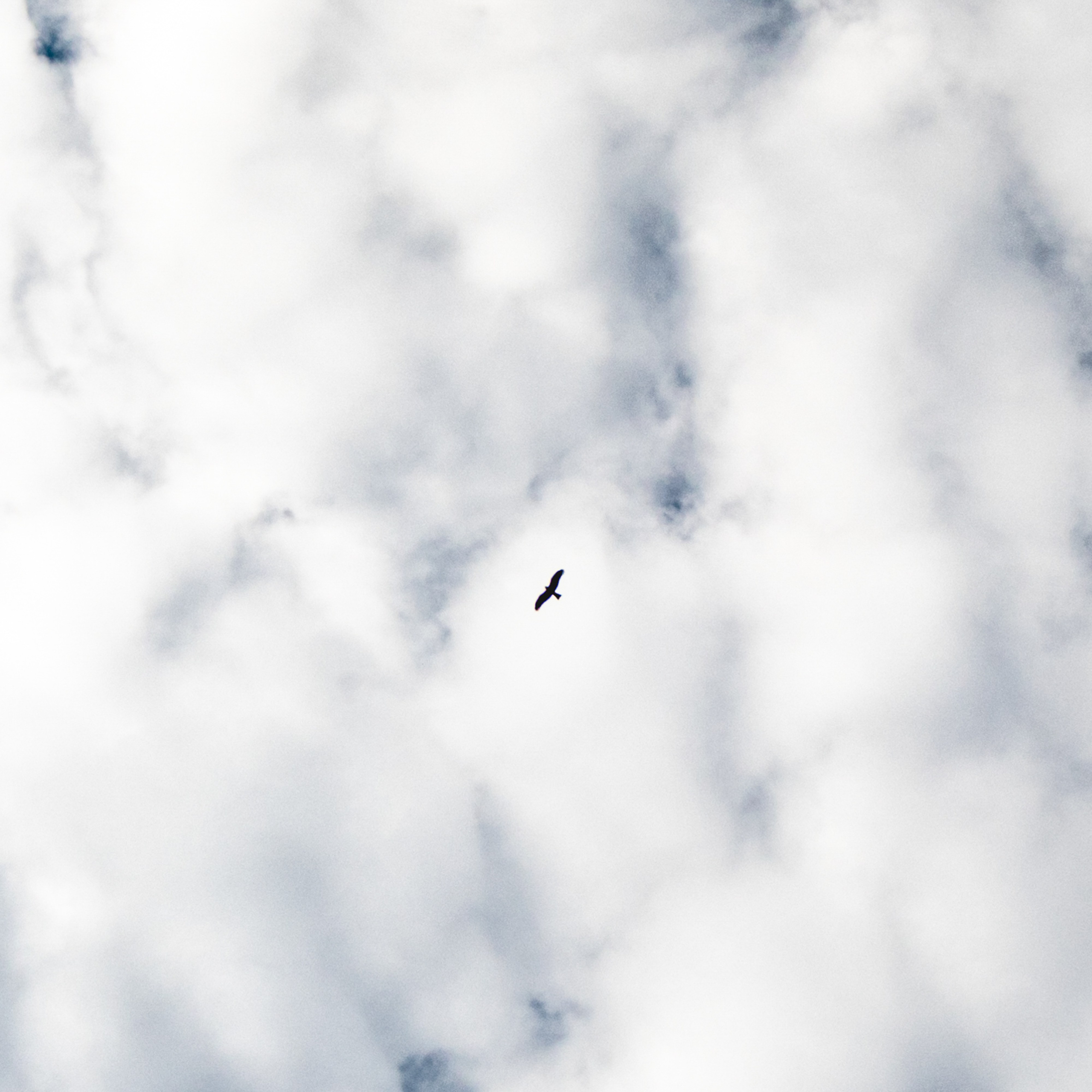 Природа Самарской области в кадре. Дикие степи, Жигулёвские горы и волжские просторы — авторские фотографии уникальных ландшафтов. Фотограф Самара — репортажная, свадебная, интерьерная съёмка от Ильи Петрова, профессионала своего дела