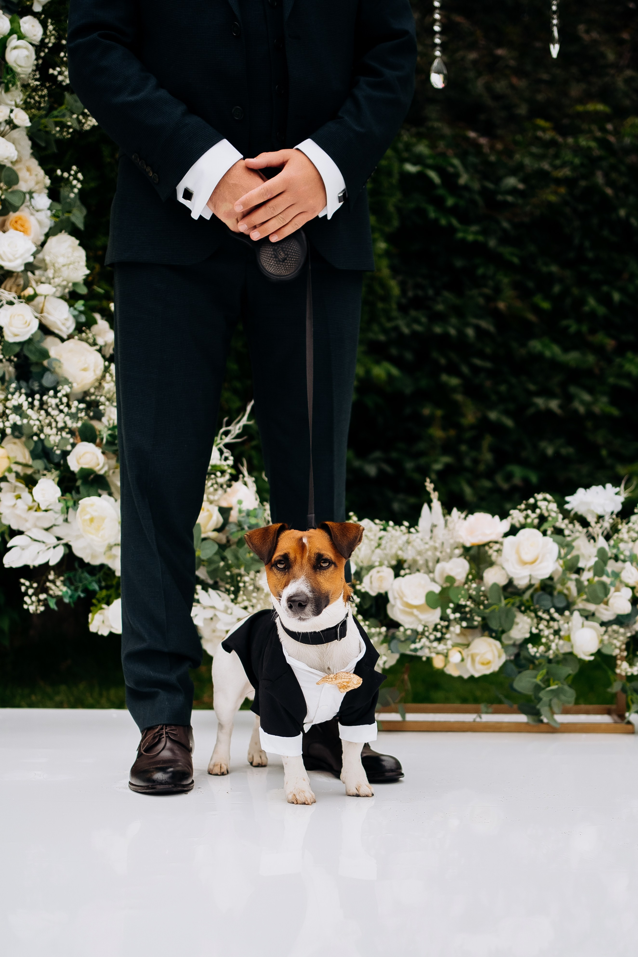 Аня и Максим. Фотограф Тверь. Анна Драго