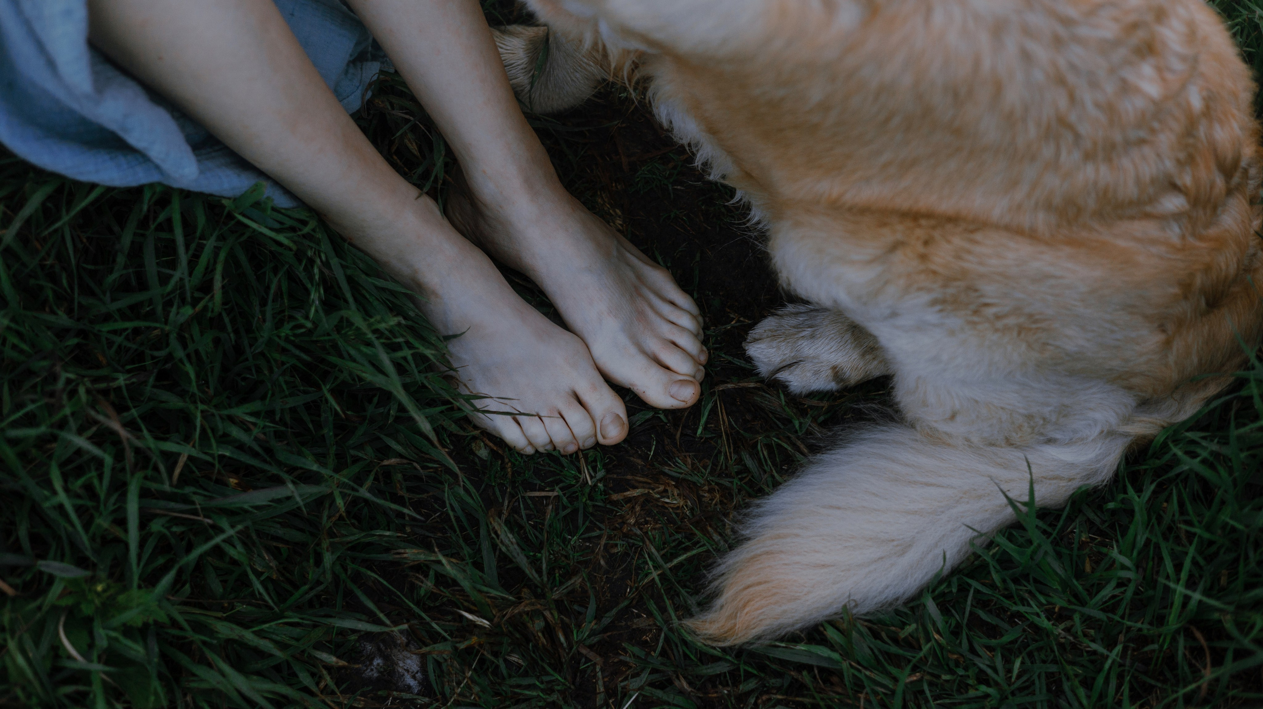 Марина и Чили. Фотограф-анималист Богданова Полина