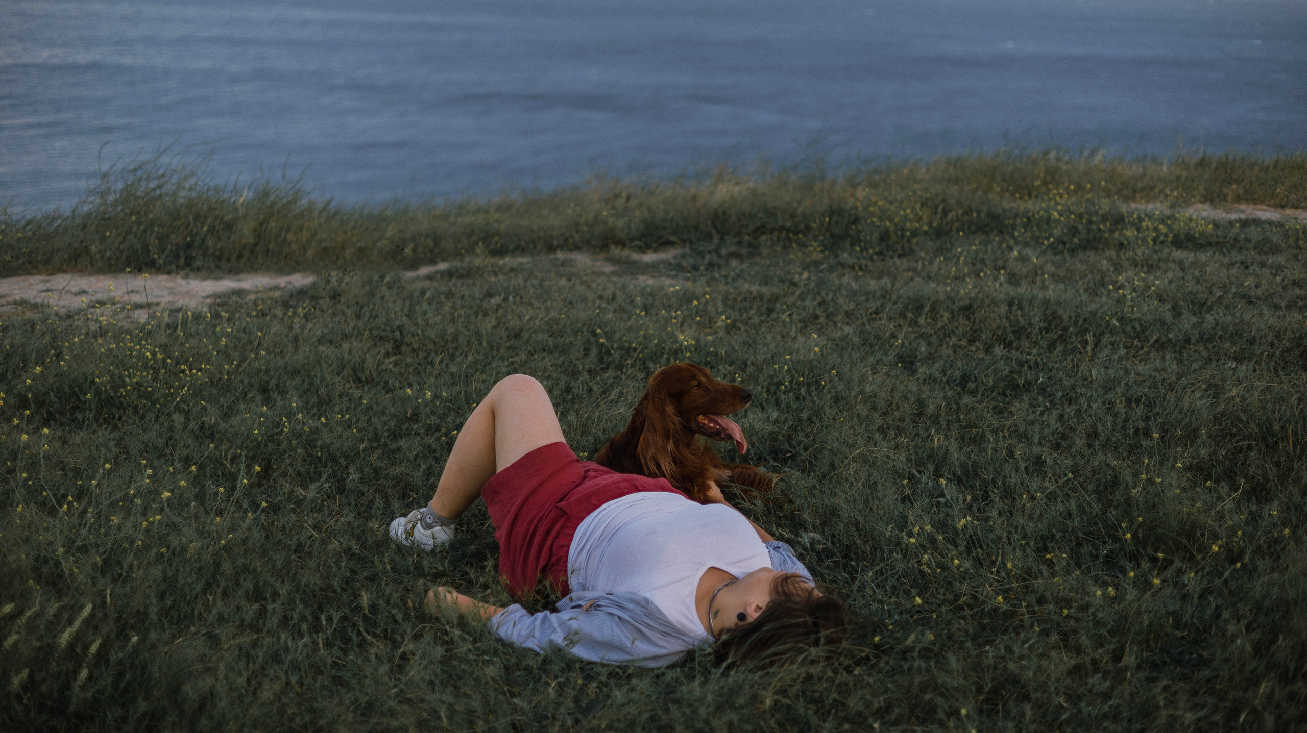 Ольга и Шеймас. Фотограф-анималист Богданова Полина