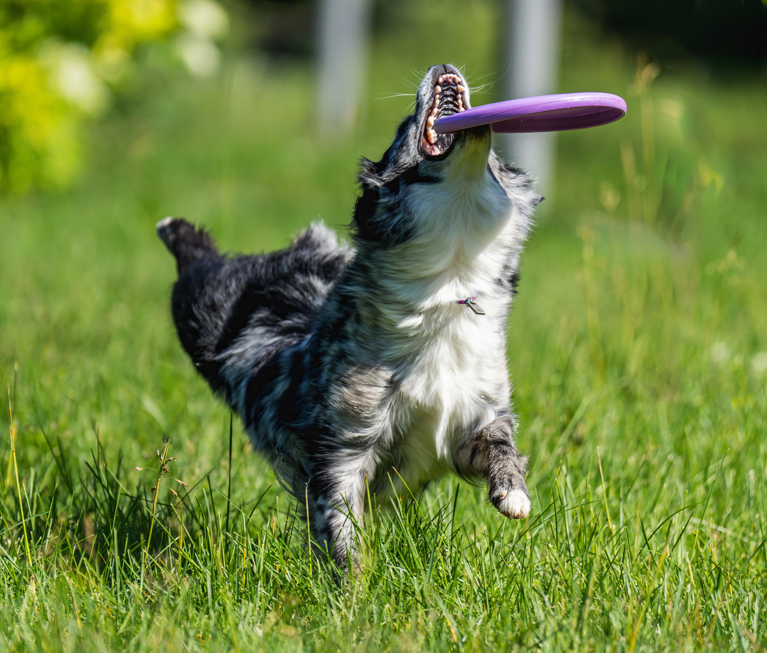 Репортаж. События. Константин Дем | Фотограф