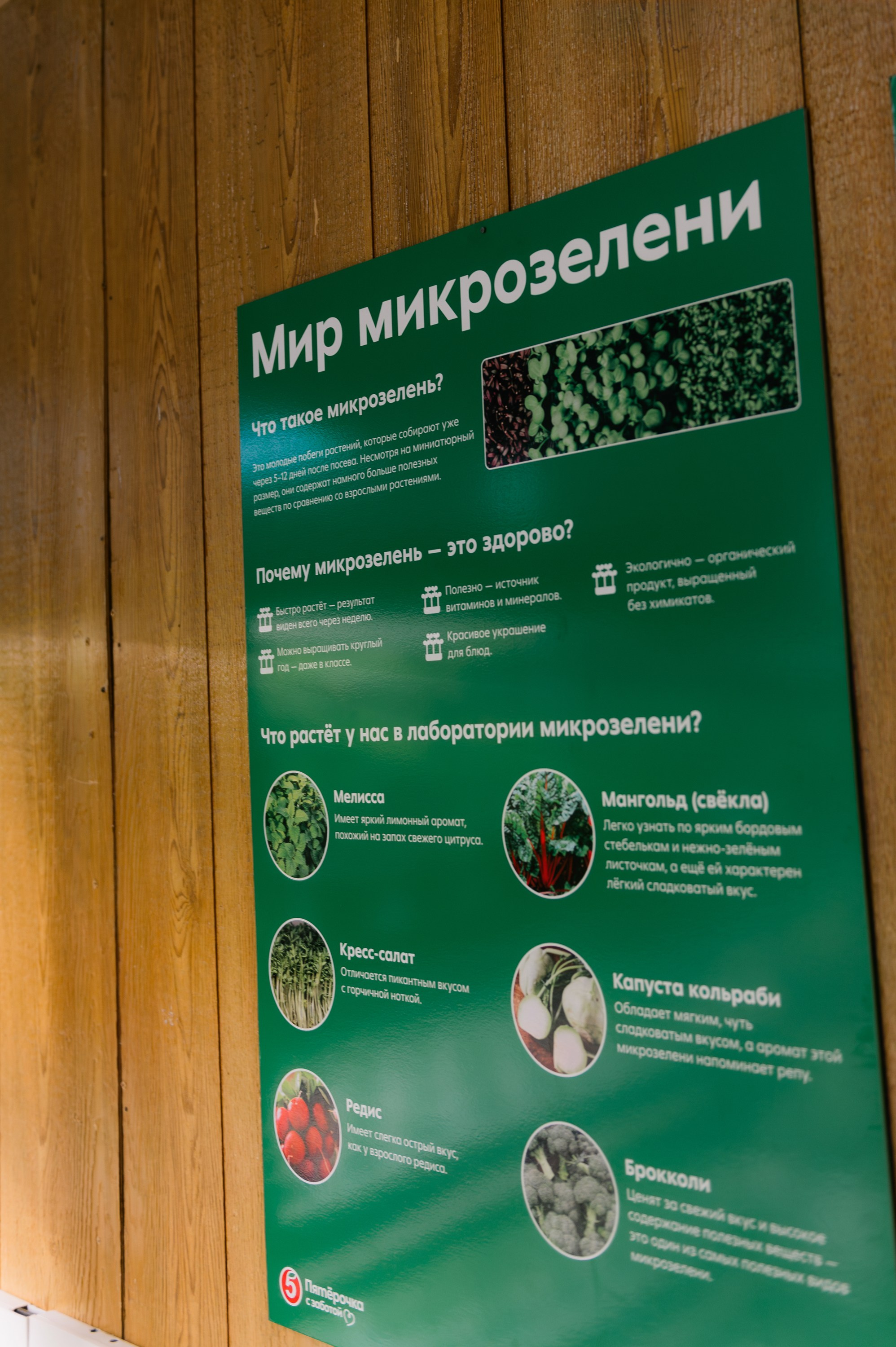 Пятёрочка. Школа питания. Фотограф в Волгограде Виталий Самойлов