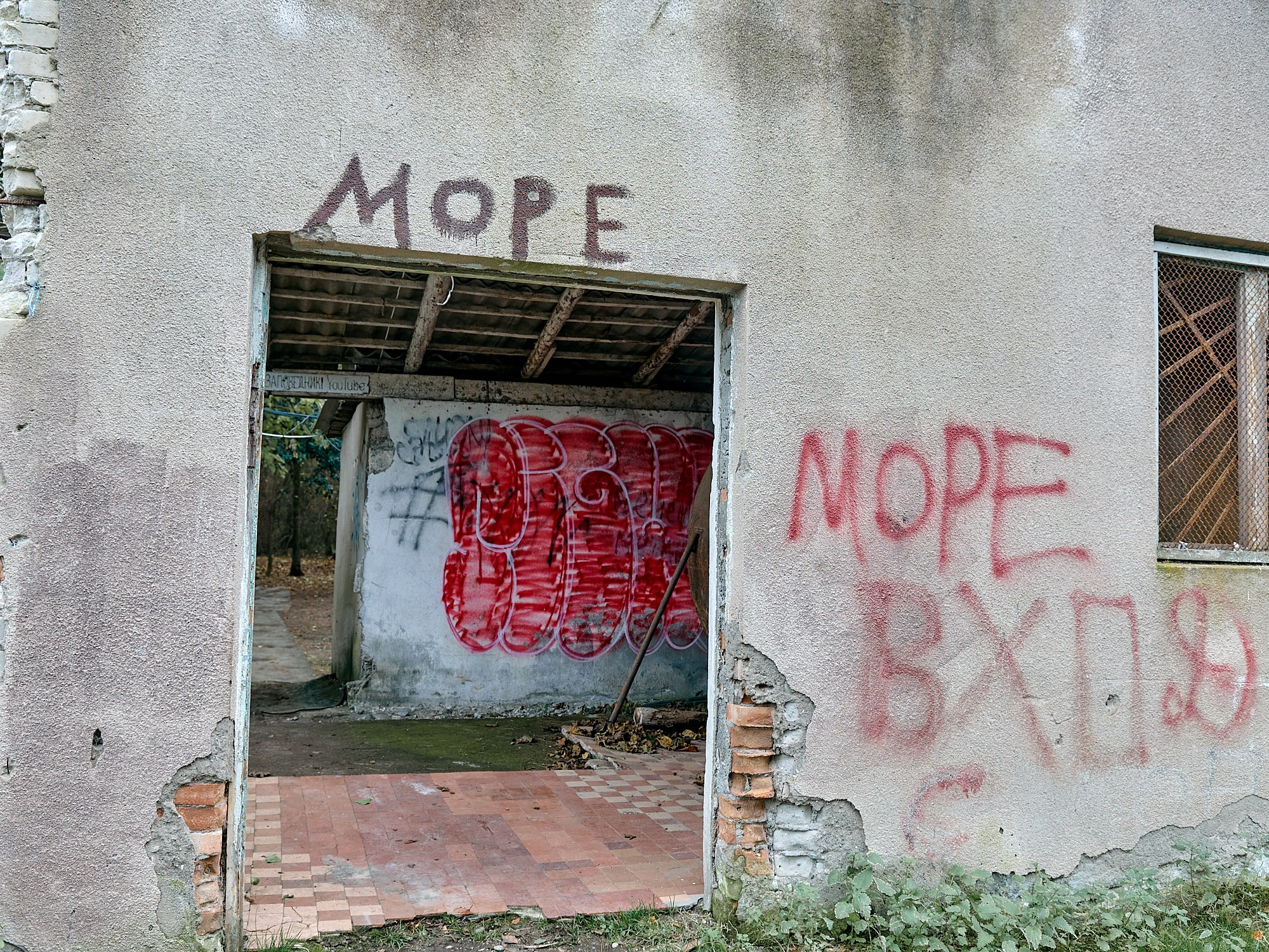 Пицунда, Абхазия. Декабрь 2024. Фотографии отовсюду и обо всем