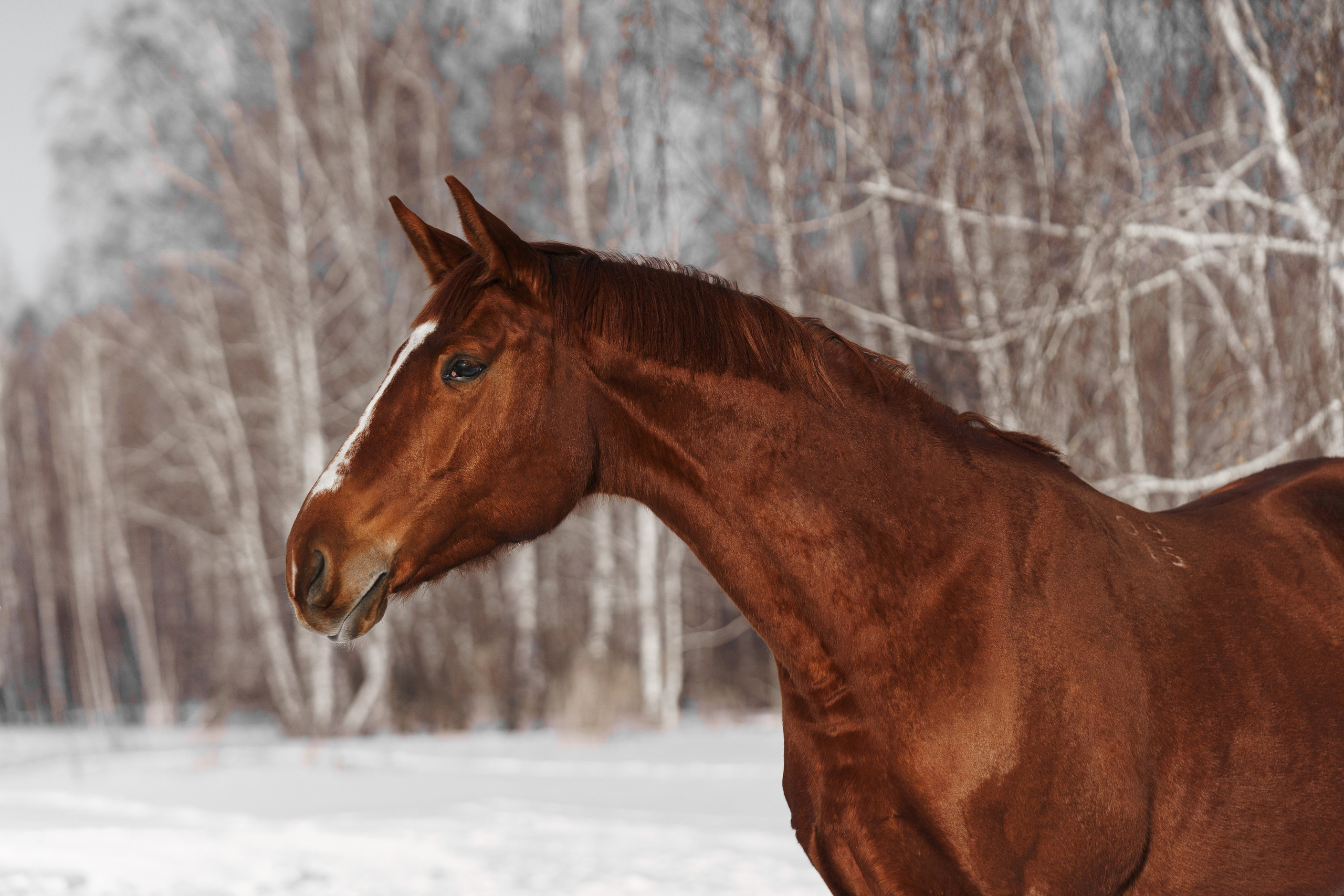 Хрестоматия. Главная