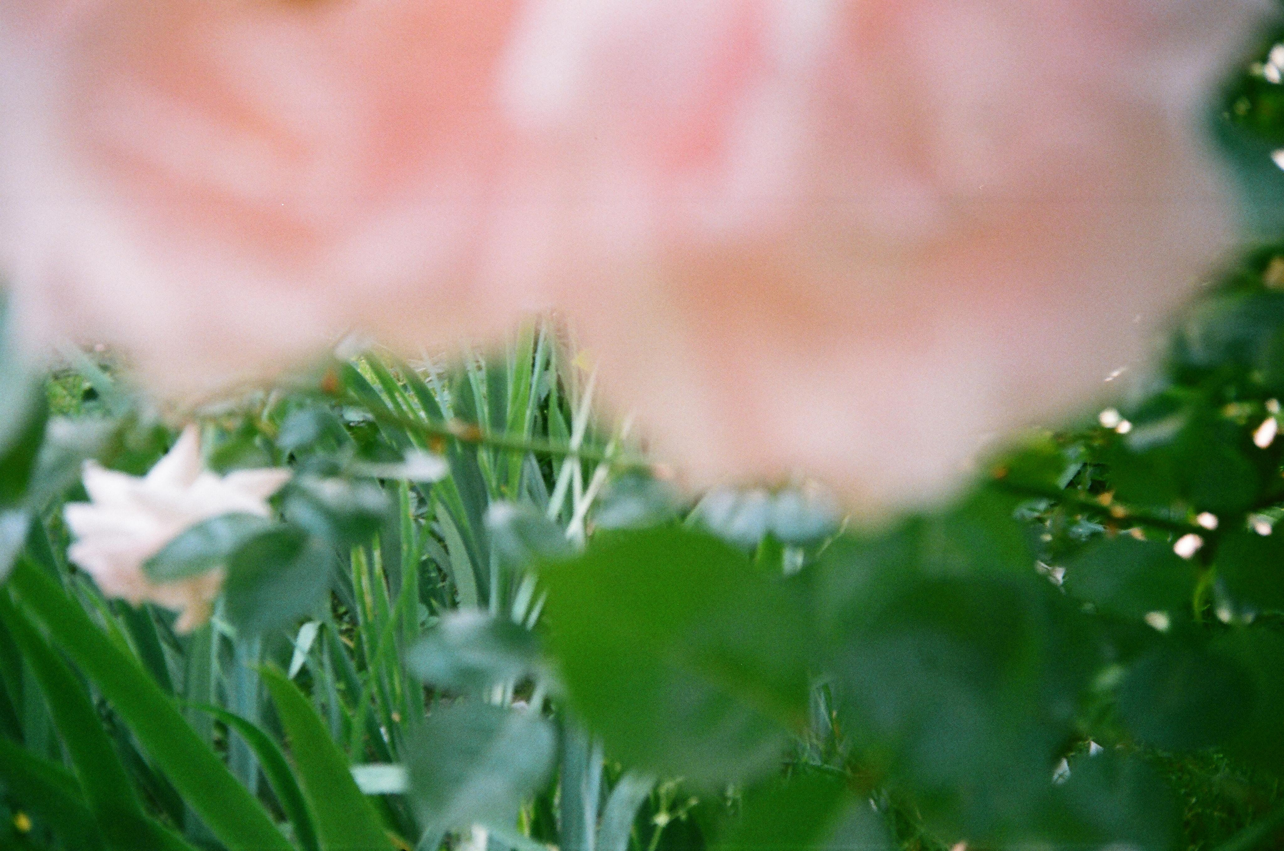 Фотограф Татьяна Байкова — официальный сайт