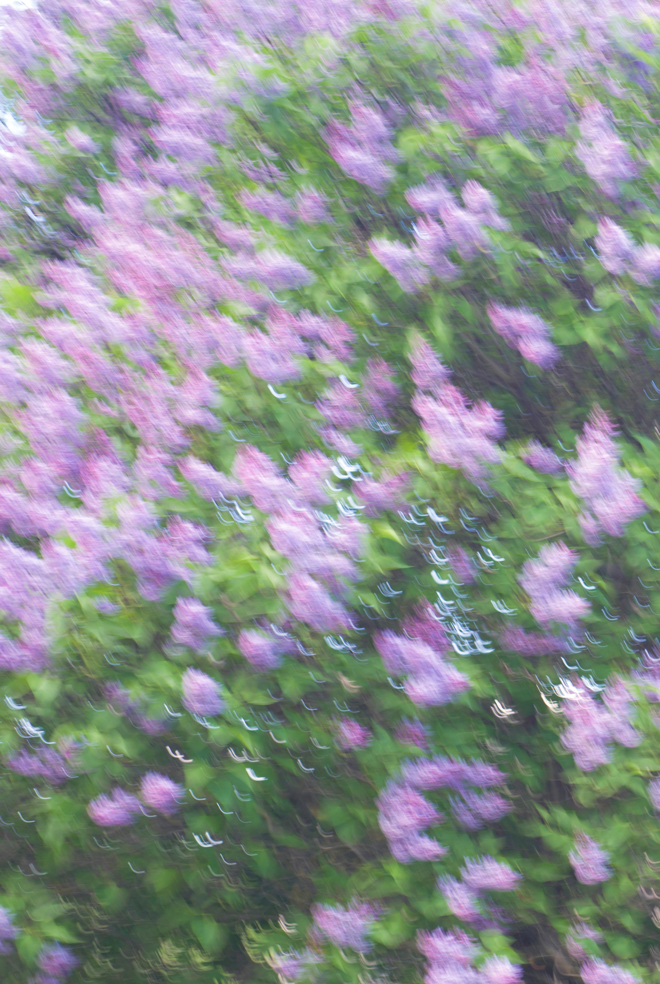 Обо мне — Фотограф и художница Татьяна Байкова. Фотограф Татьяна Байкова — официальный сайт