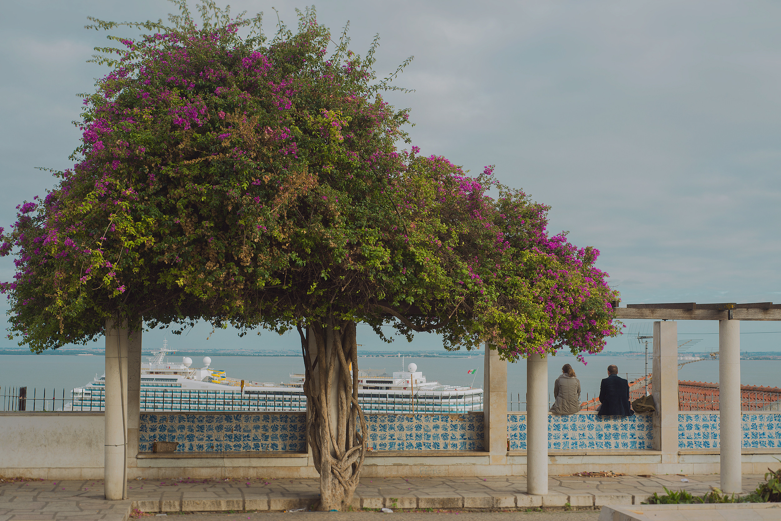 Фотограф Татьяна Байкова — официальный сайт