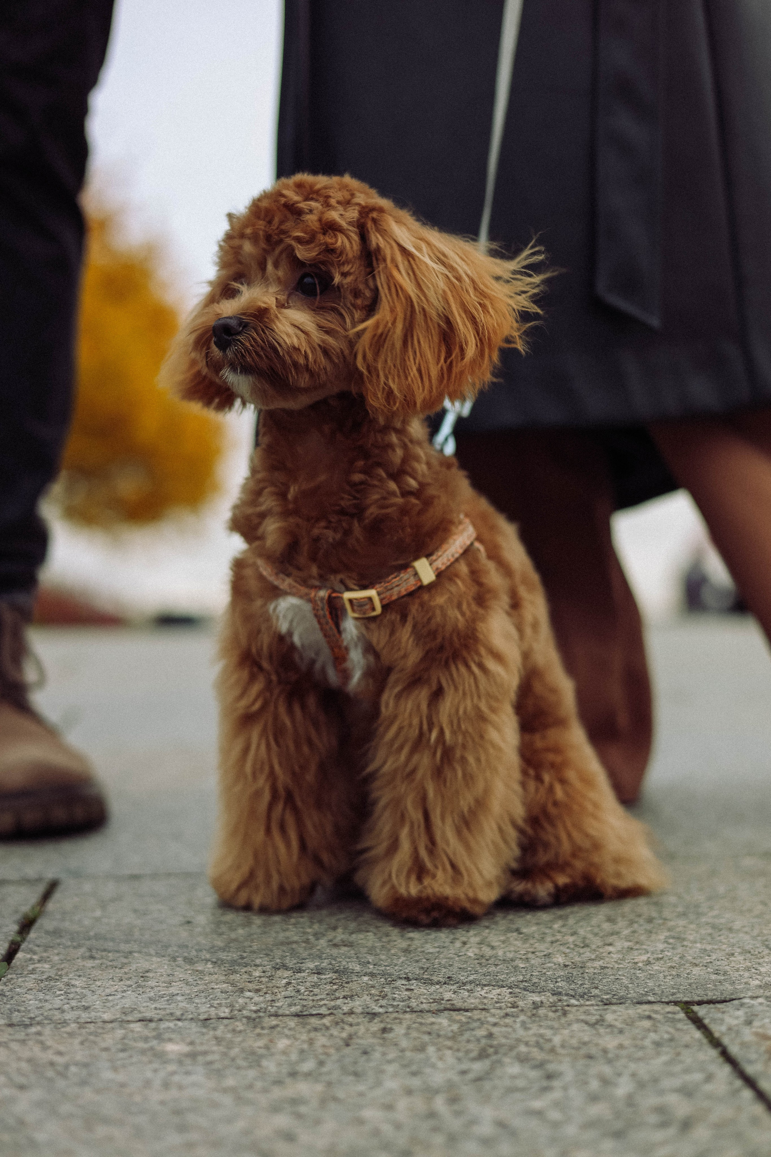 Кира. Фотограф в Москве Анастасия Калинина