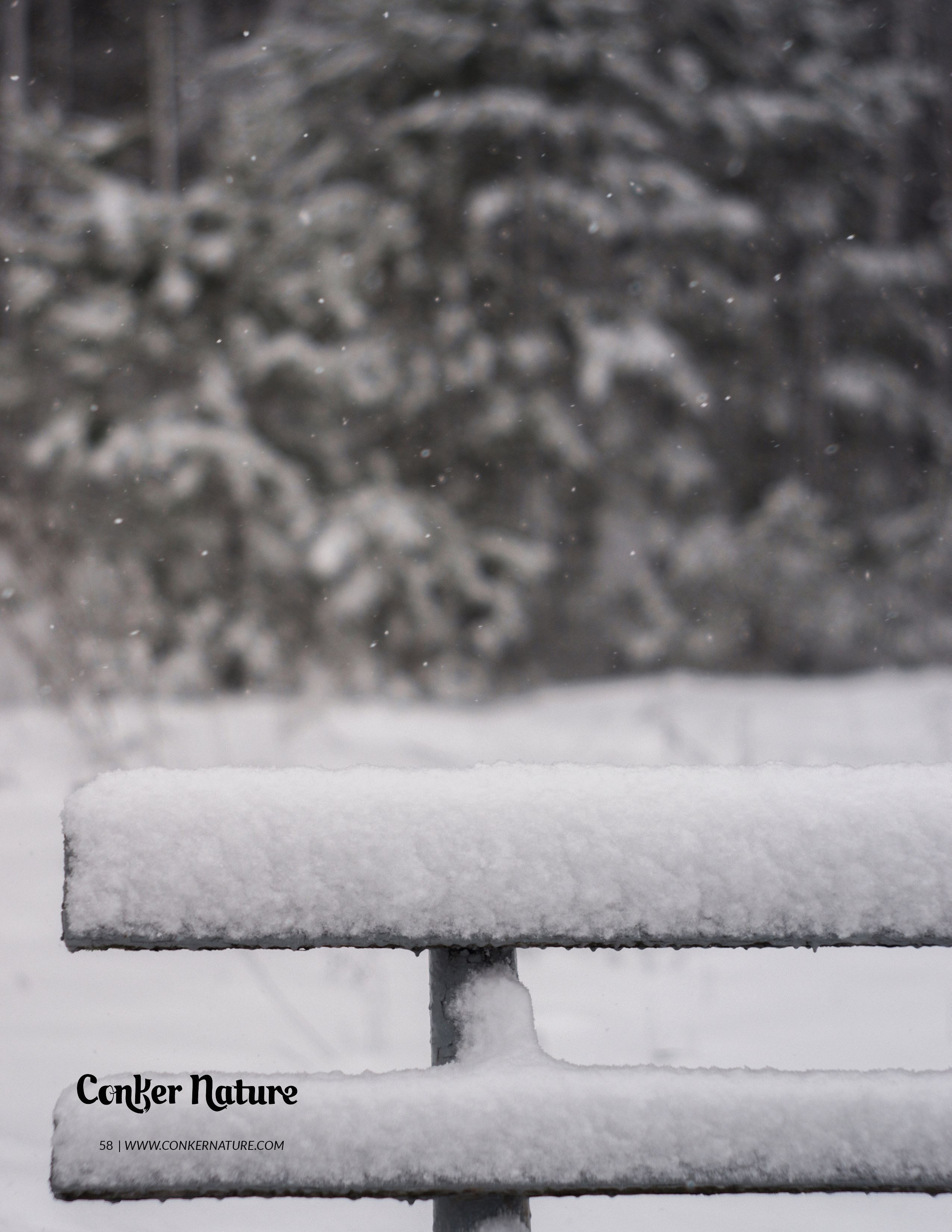 My publications in printed publications, magazines. Фотограф (photographer) Lischinski Vitaliy