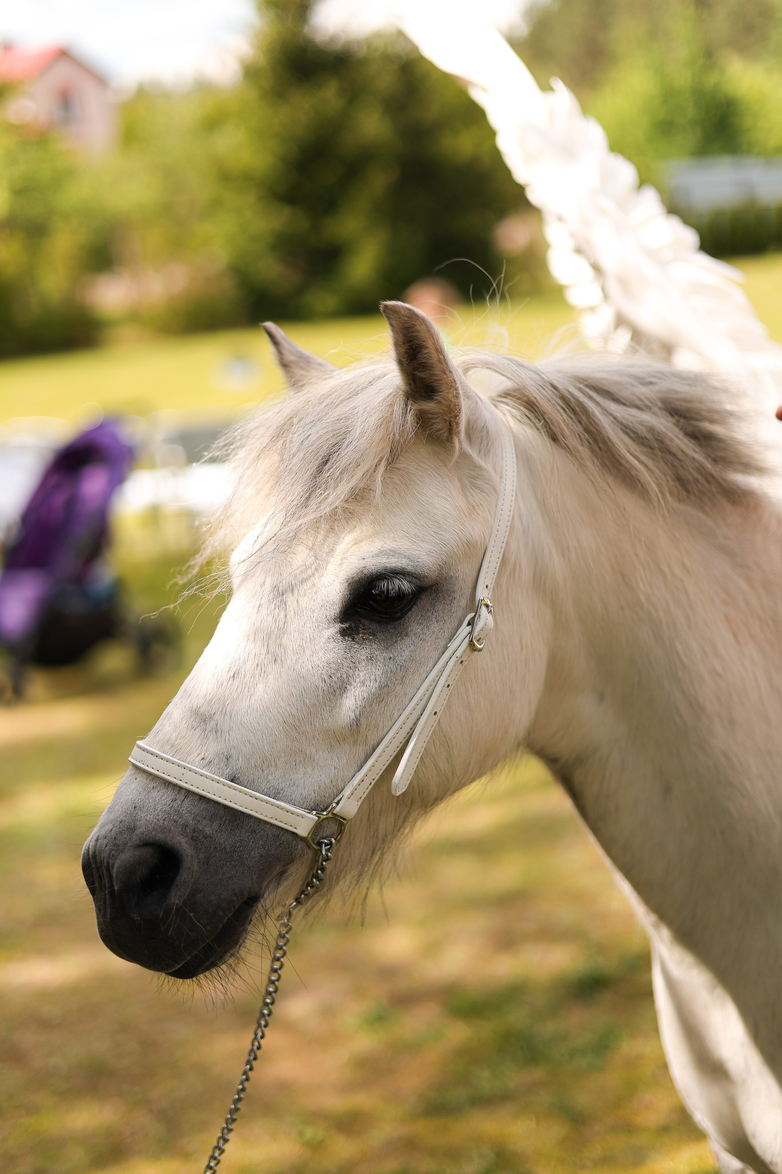 Благотворительный проект в Caritas. Свадебный фотограф Беларусь Ольга Козыренко