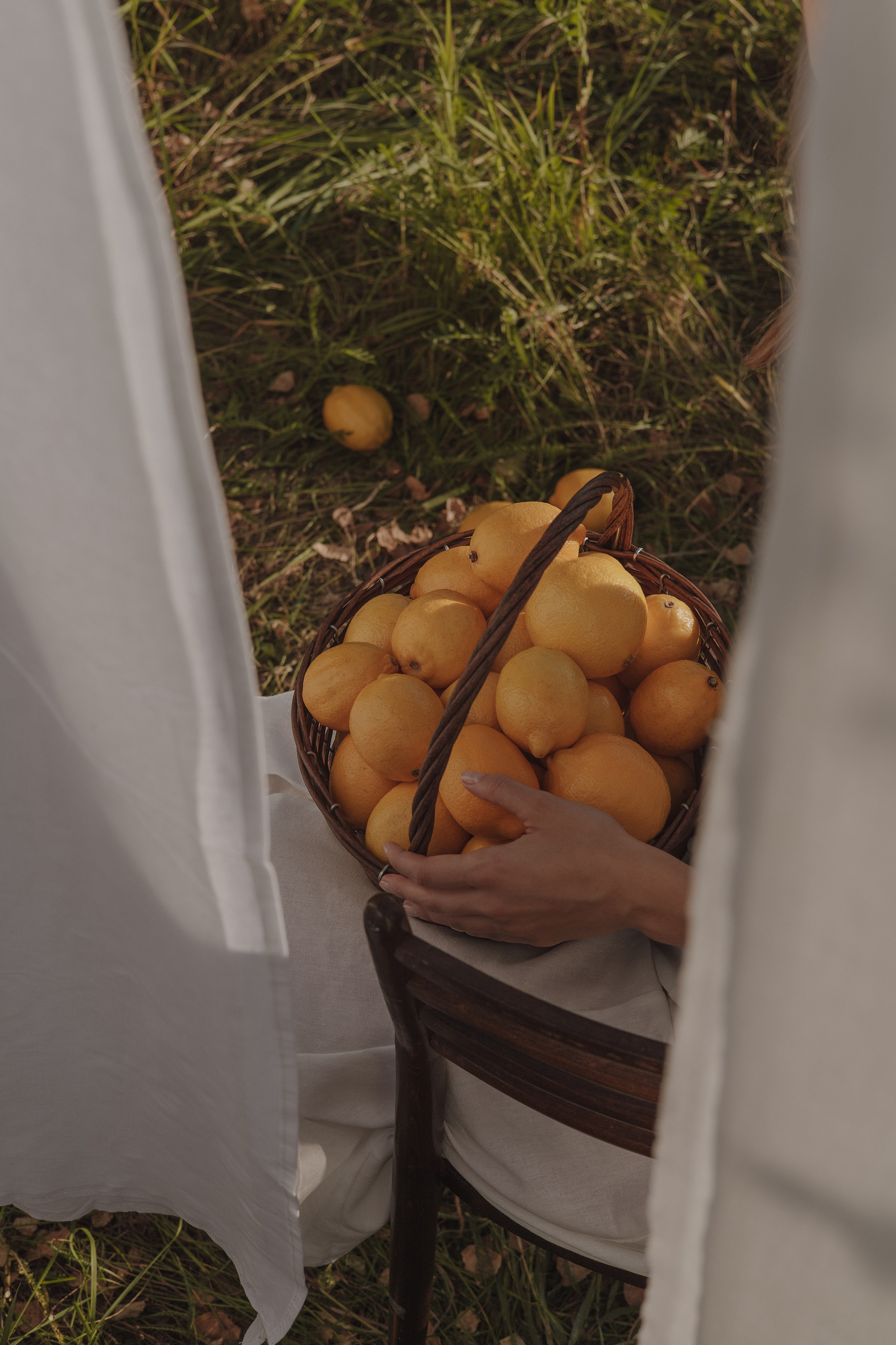 Анастасия. Фотограф в Москве Таша Логинова