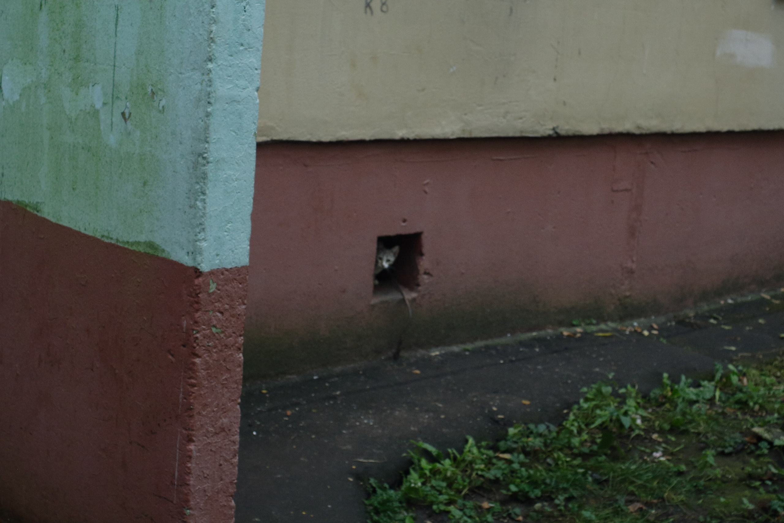 Старое природное, отбирала Katamount (Катерина Горохова). Главная