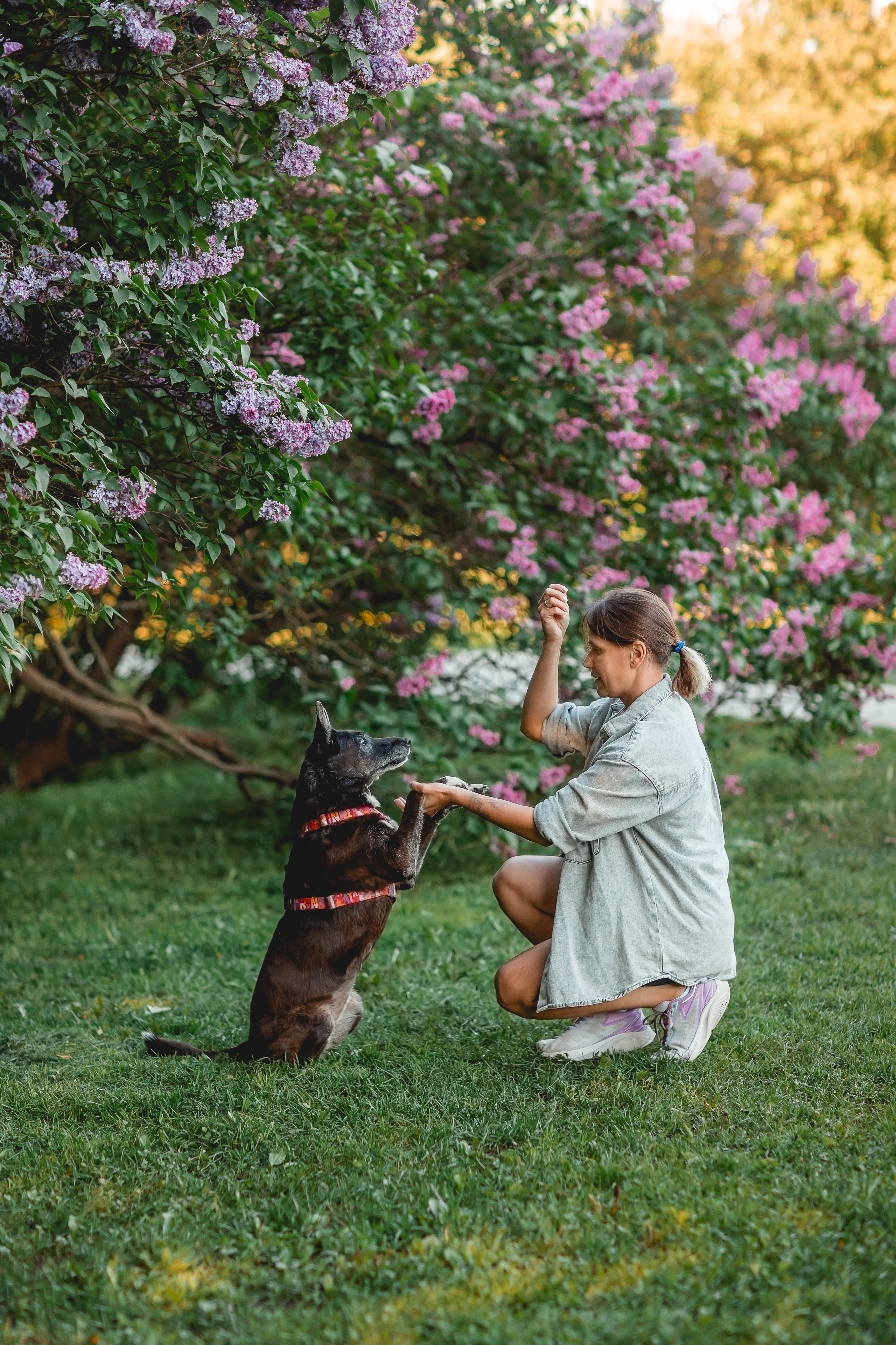 Ира, Альма и Белла. Семейный фотограф анималист Мария Крючкова