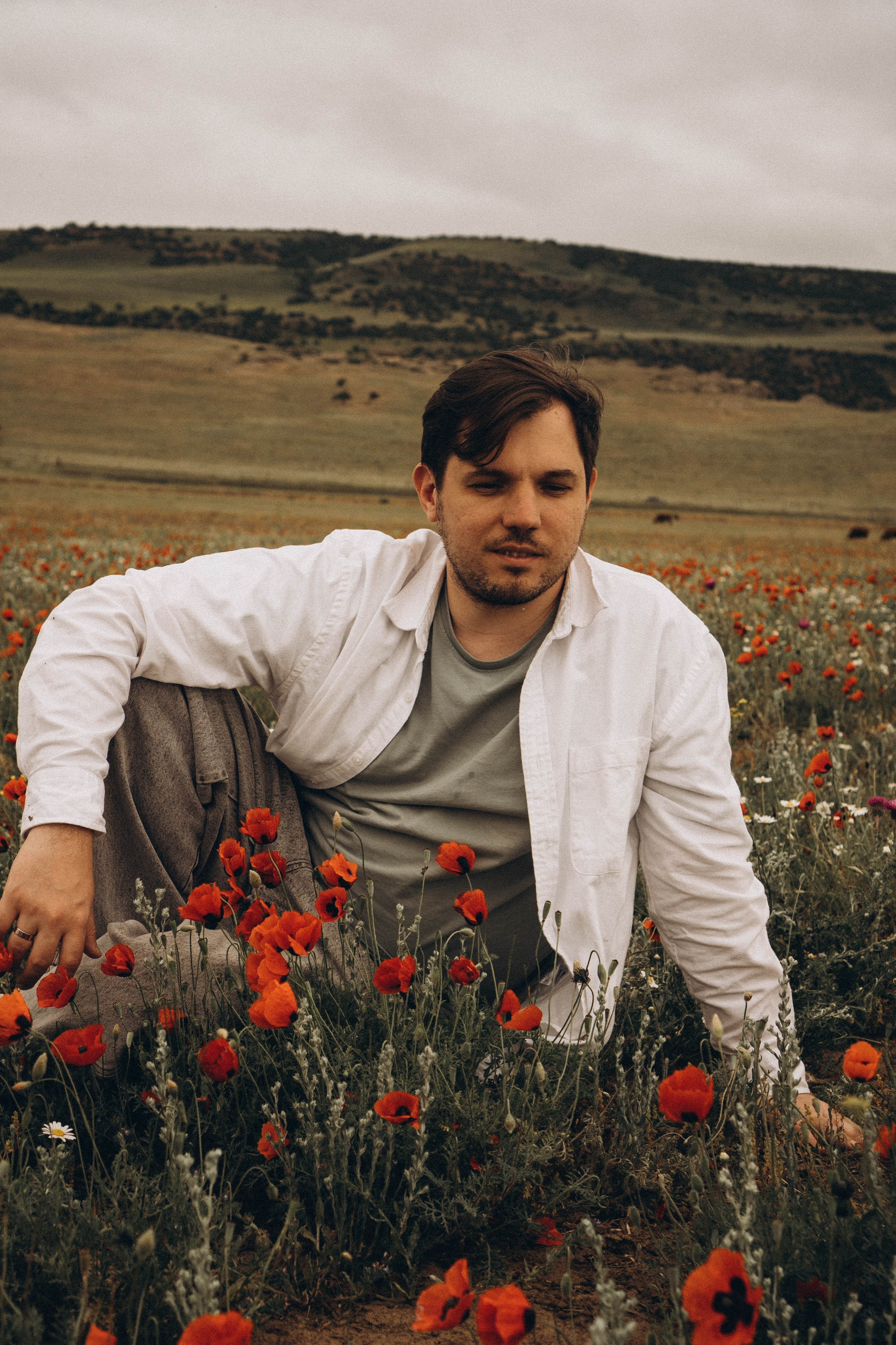 Маки. Профессиональный фотограф, Санкт-Петербург — Виктория Богомолова