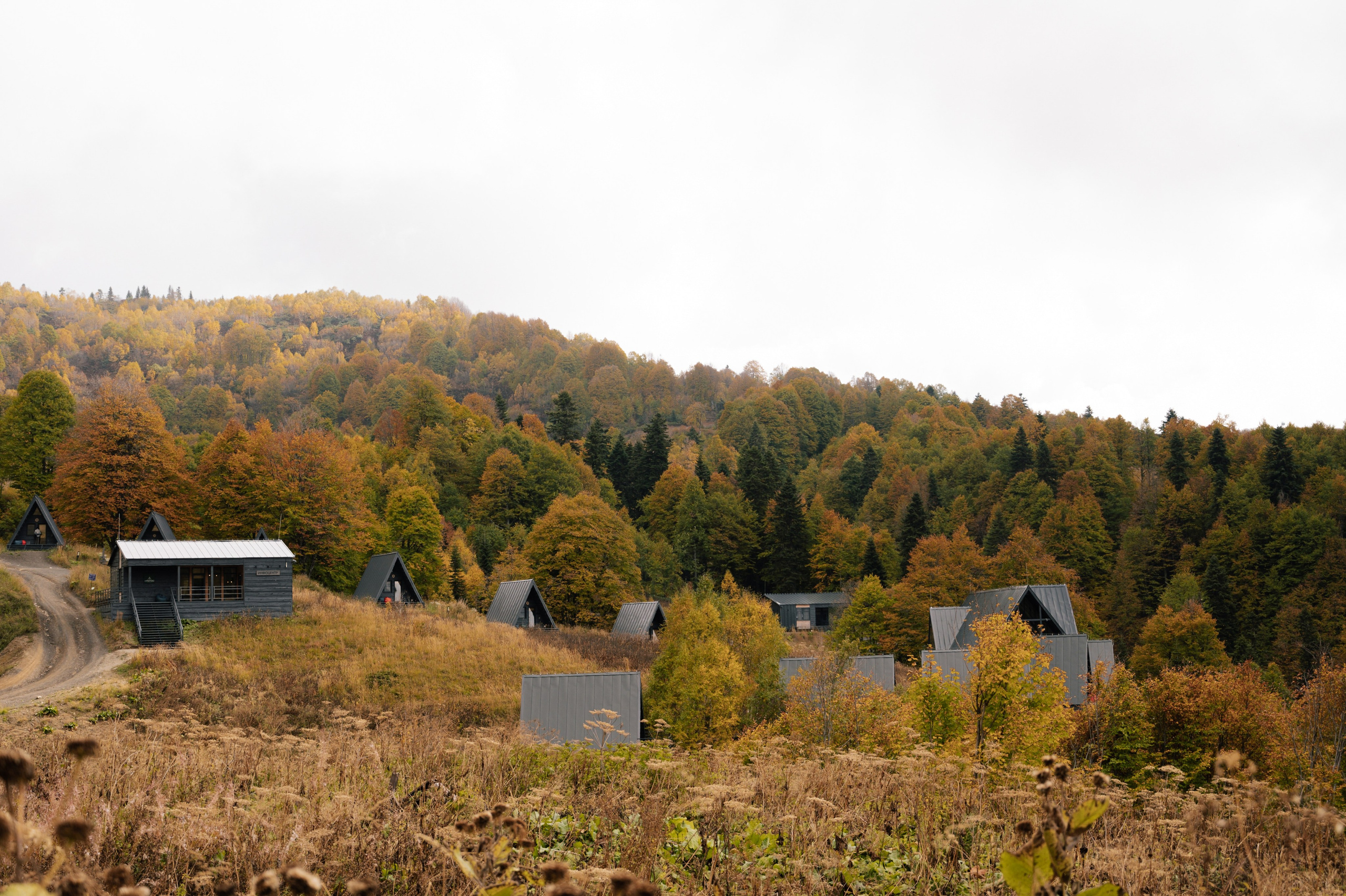 Выше гор только любовь. Свадебный и семейный фотограф Вероника Холод