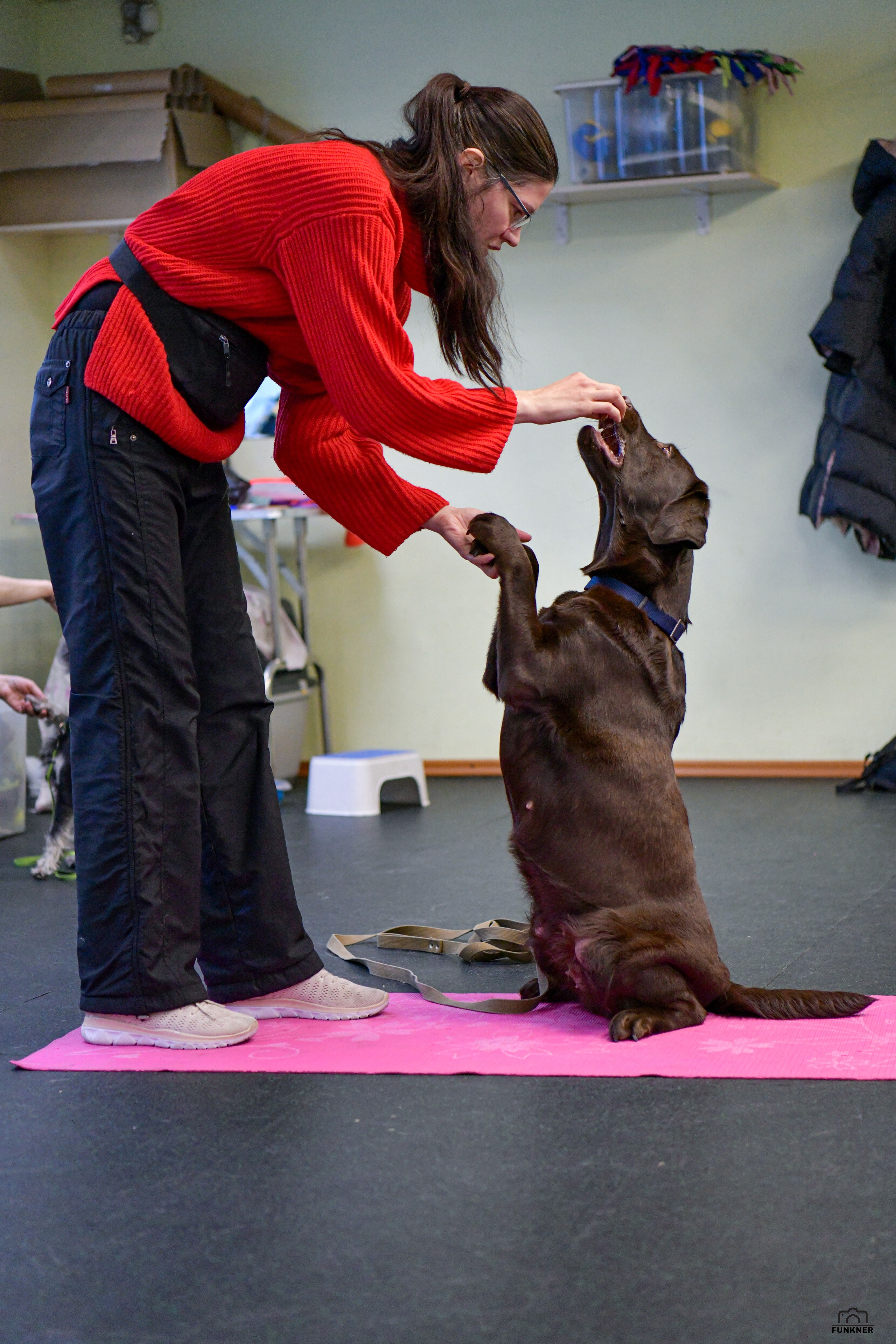 Кинологический клуб «Бодрый хвост». Свой взгляд через объектив