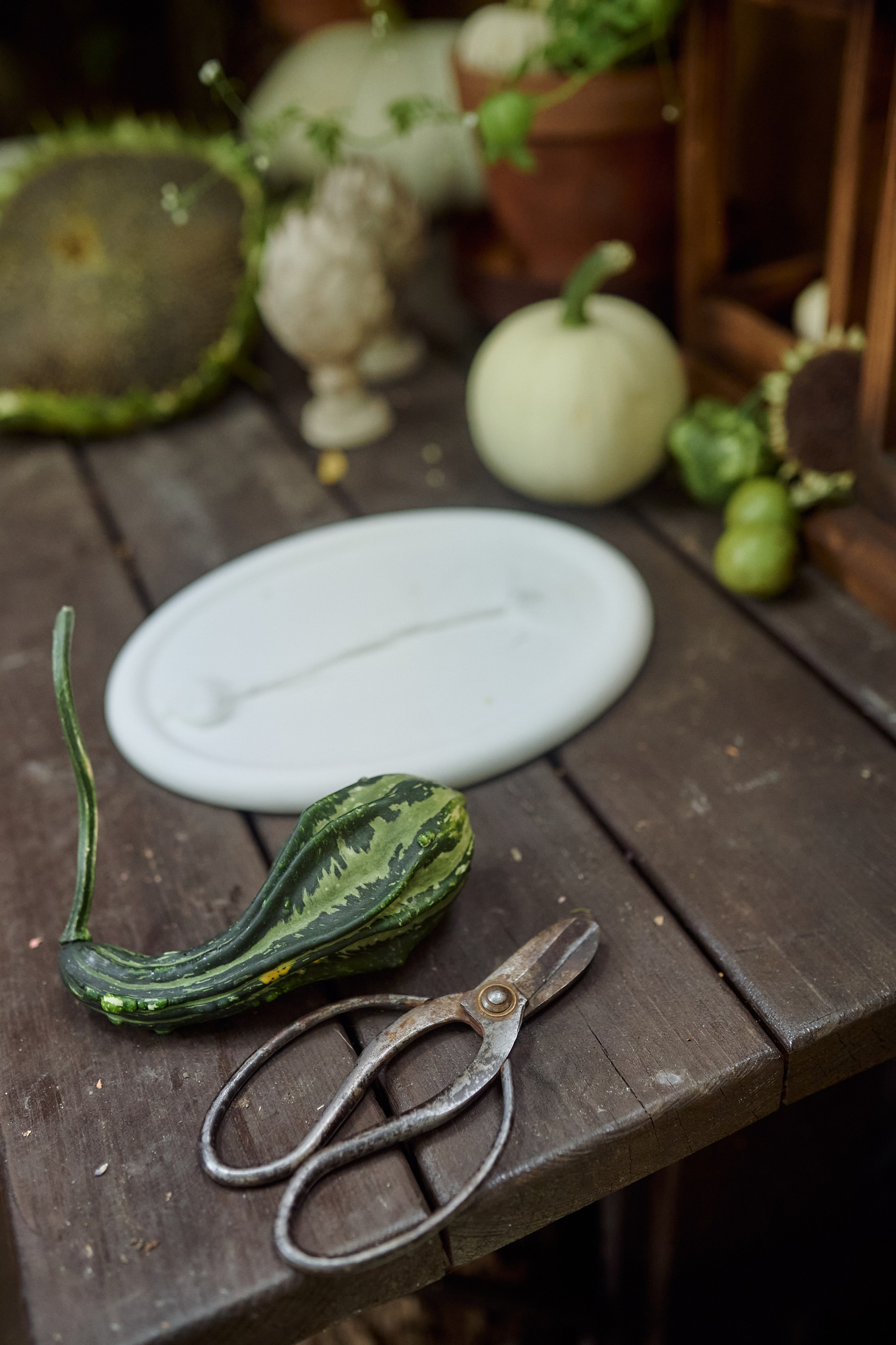 Алёна и Рада в Чайной. Семейный и свадебный lifestyle-фотограф в Москве Мария Петрова