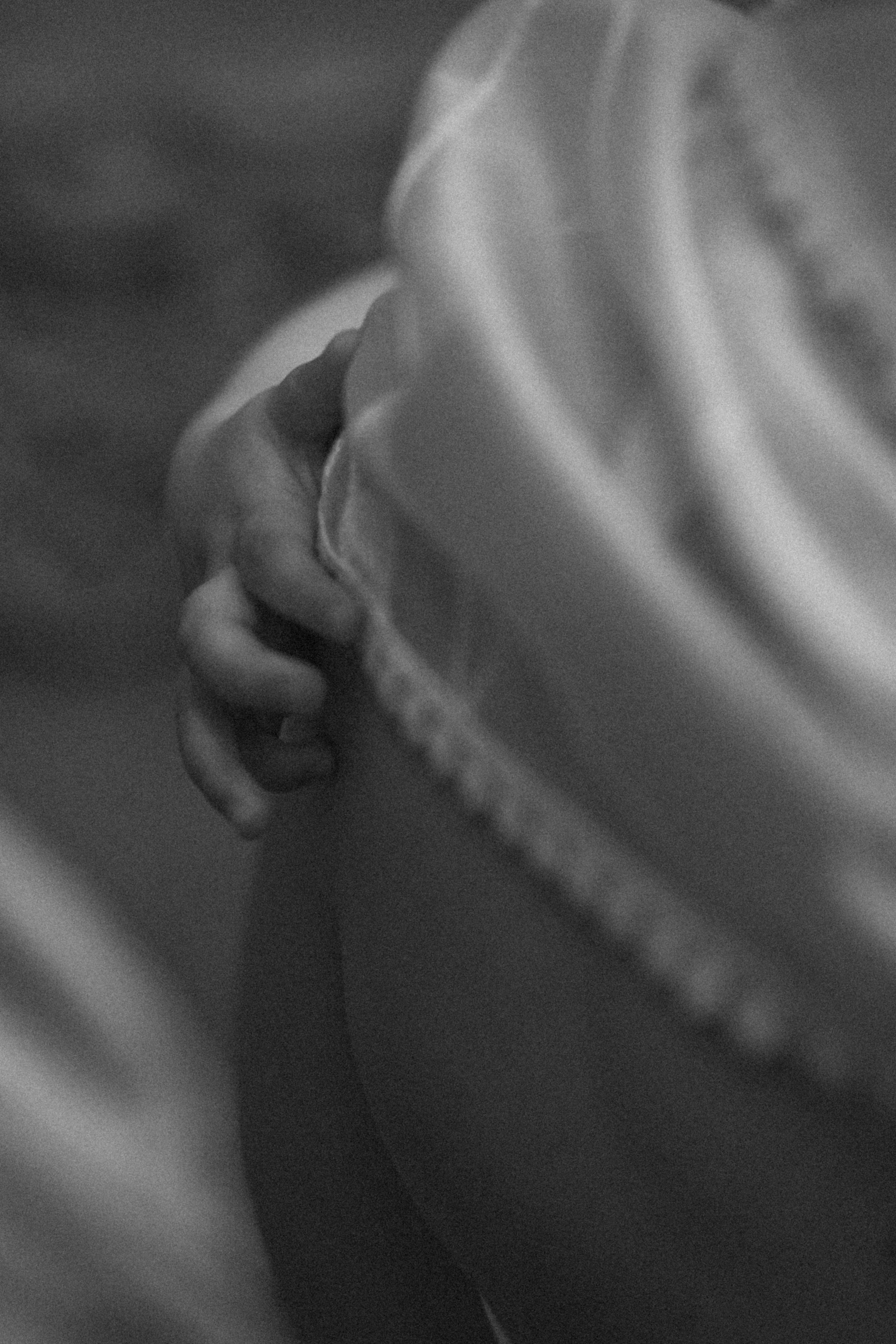 Созерцая мир. Свадебный фотограф видеограф в Москве и Санкт-Петербурге