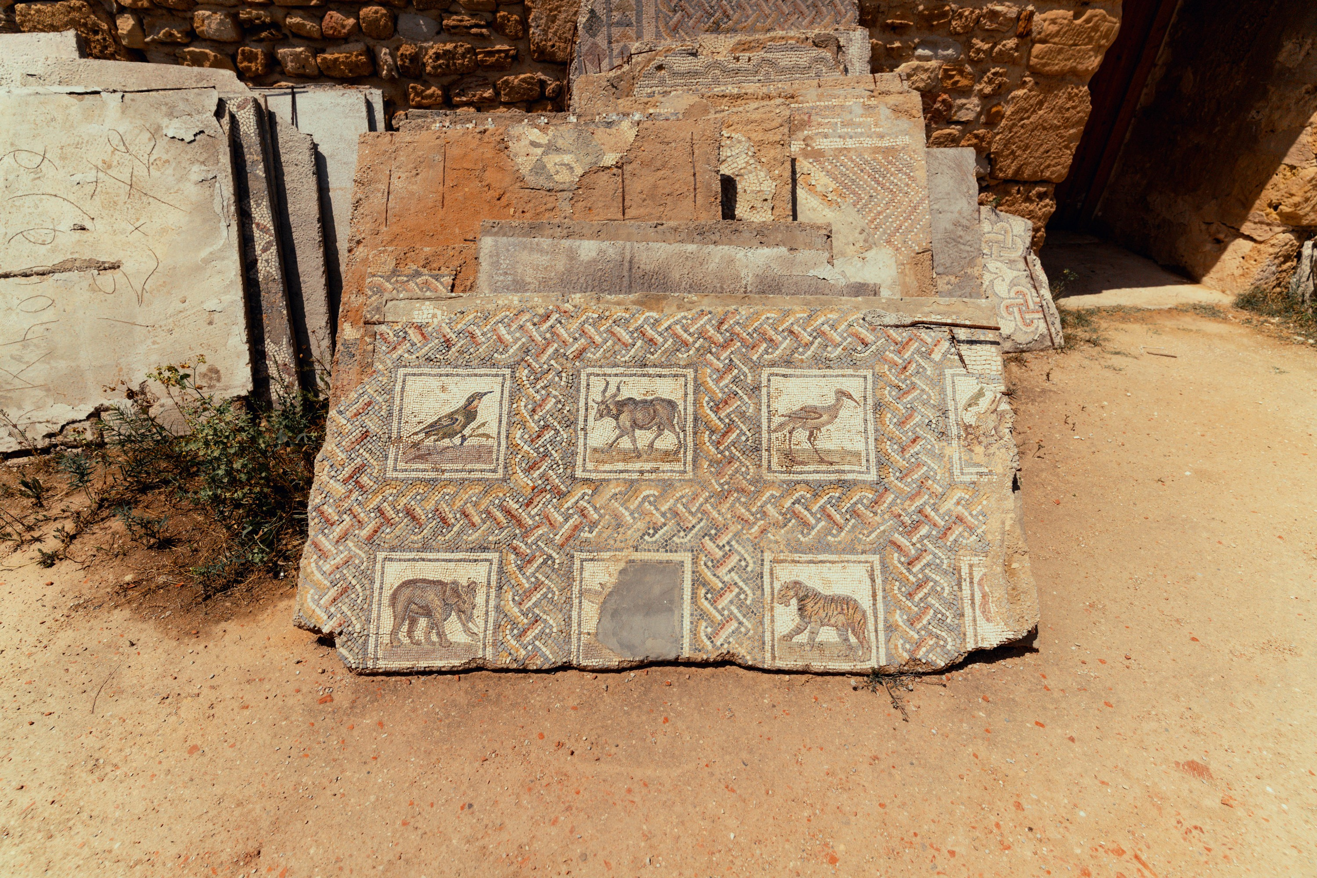 Северная Африка: Тунис, Марокко. Фотограф в Хабаровске. Фотография за 24 часа