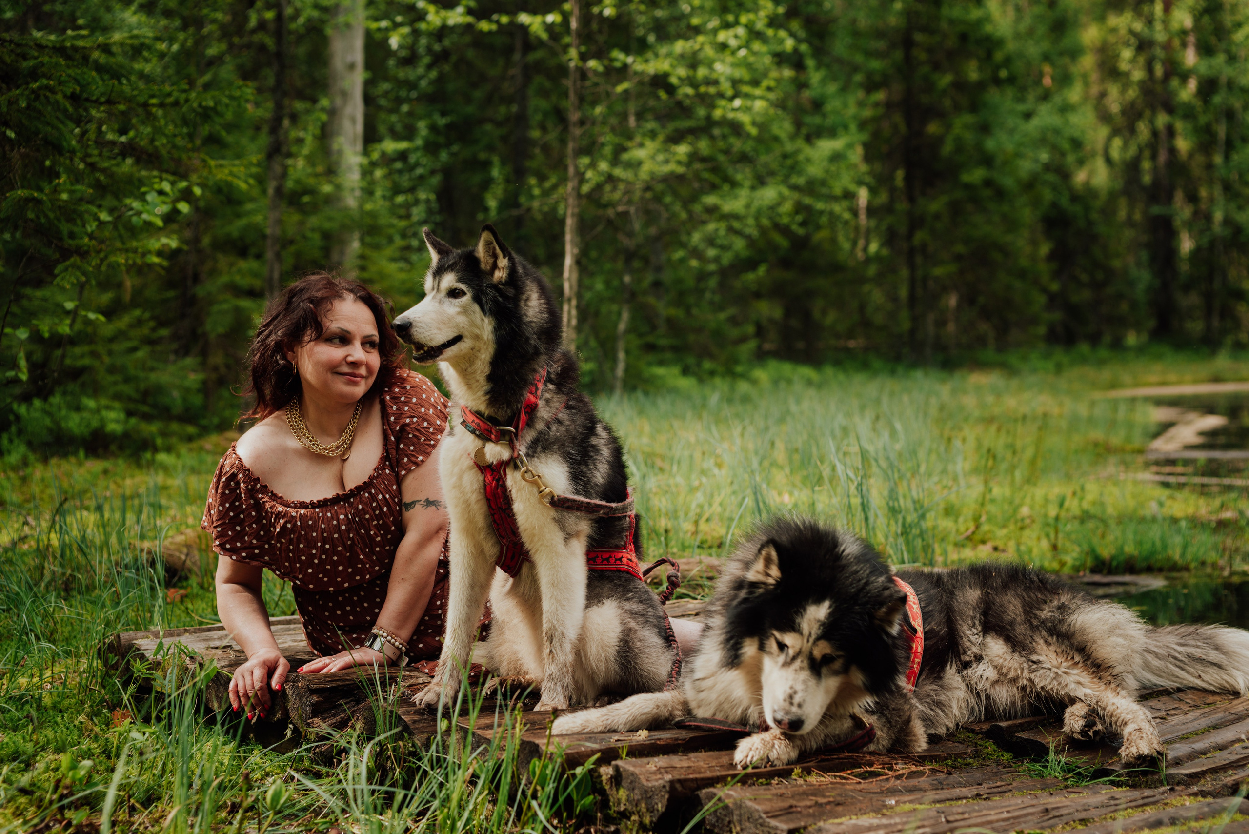 Догтрекинг. Фотограф в Санкт-Петербурге и Ленинградской области