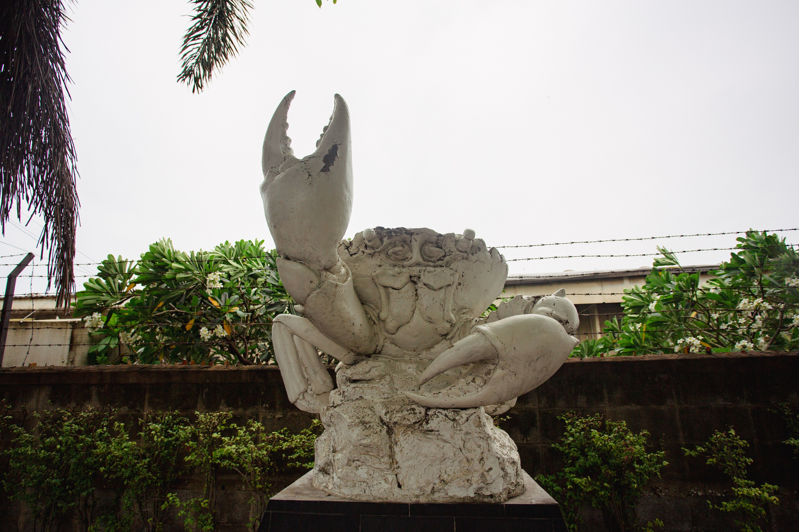 Samut Prakan. Фотограф Сонкина Татьяна